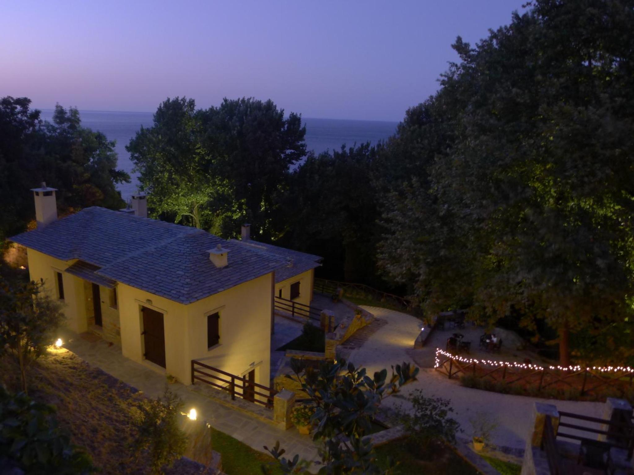 Vergopoulos Oliveyard