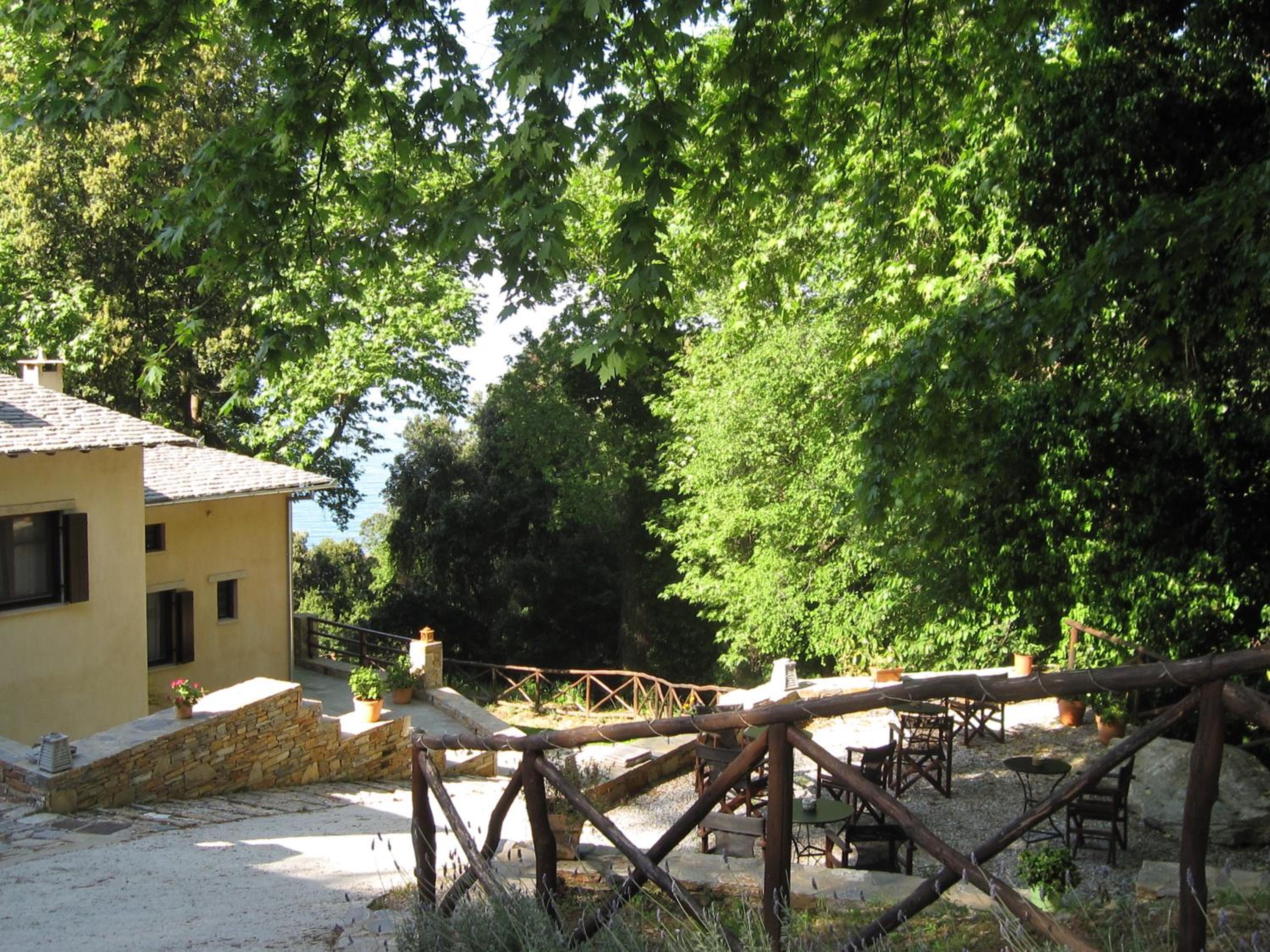 Vergopoulos Oliveyard