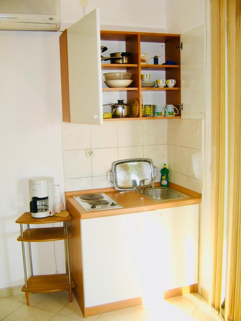 Apartments Ruza view 2