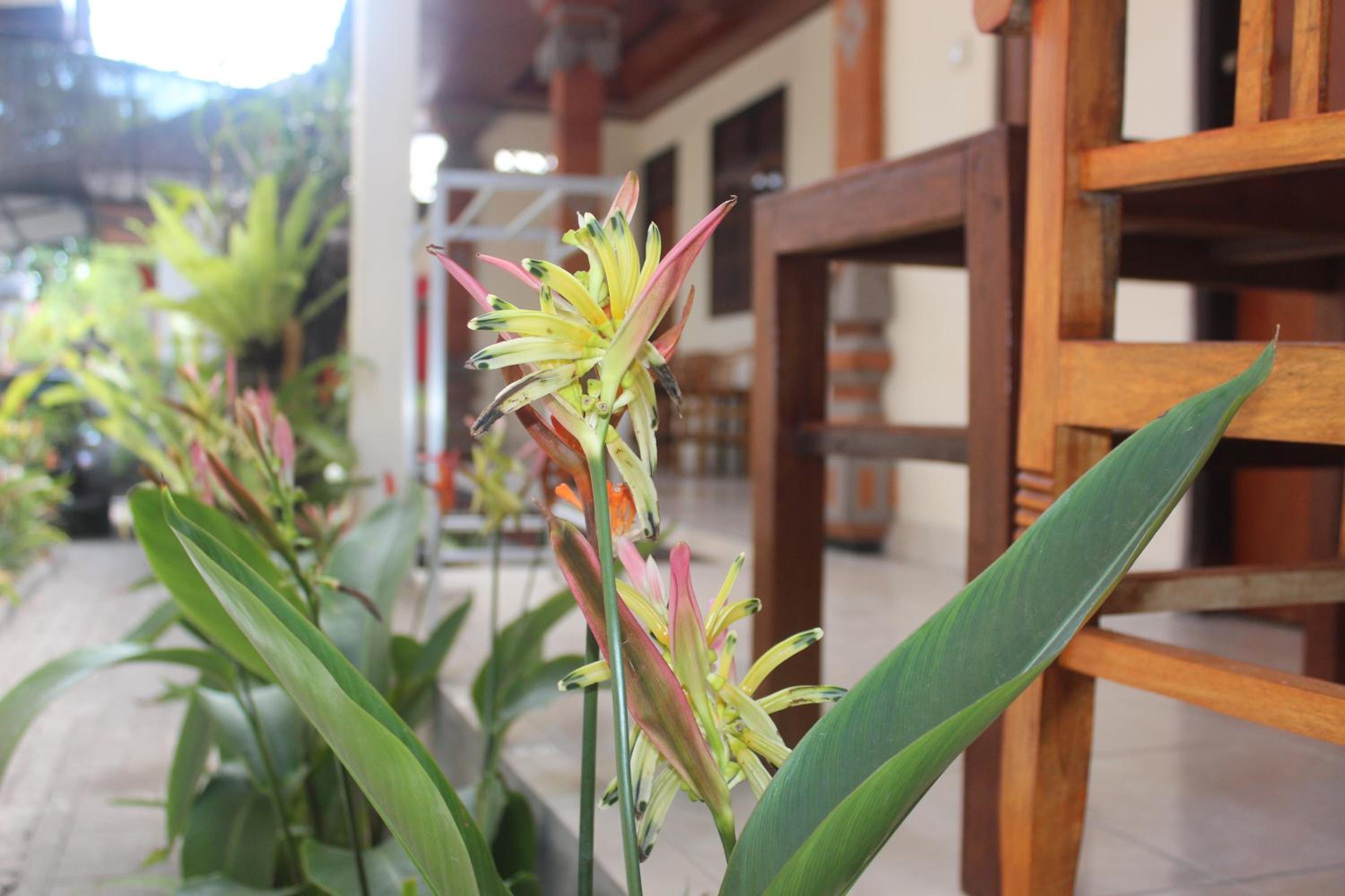 JS Guest House view 4