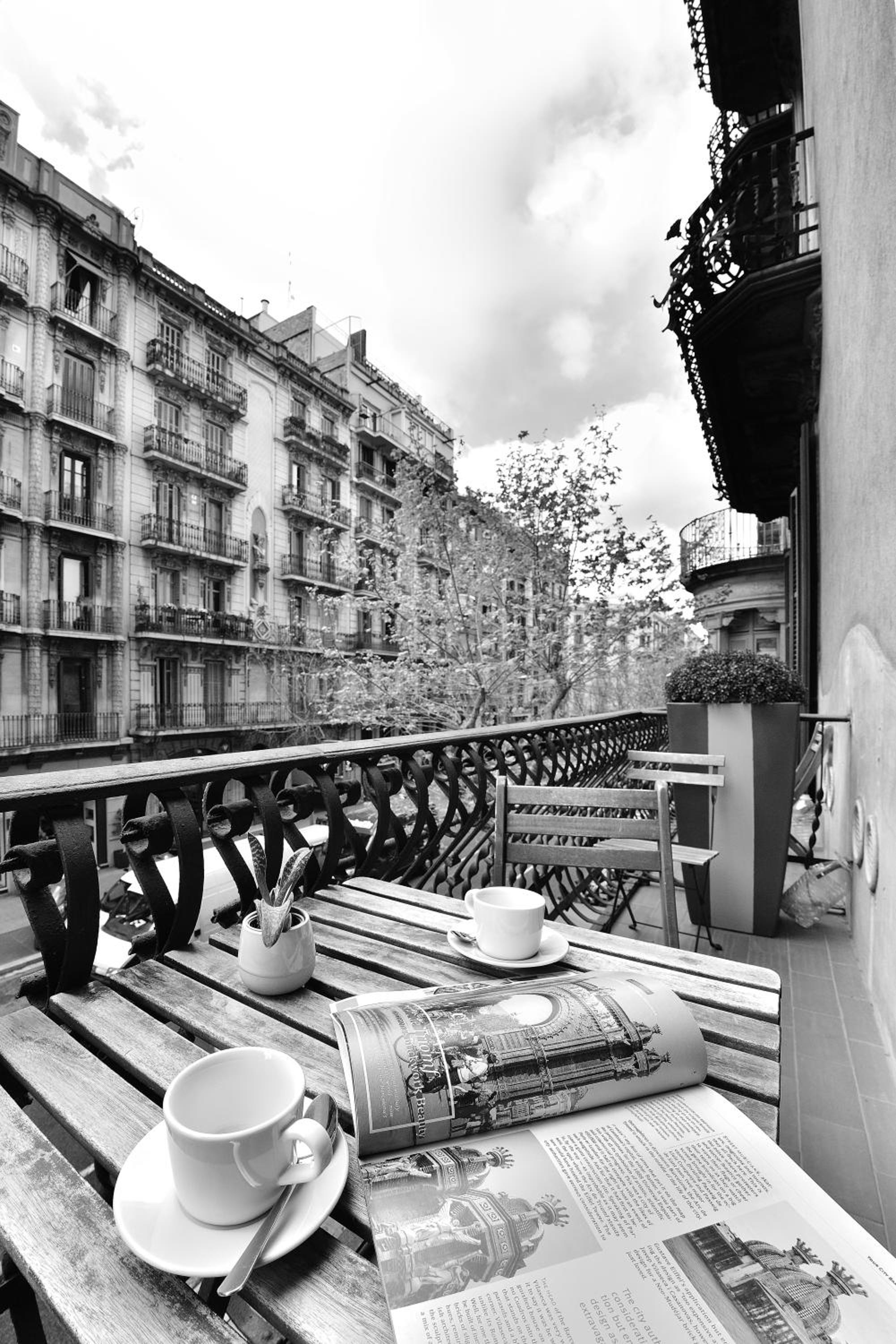 balance & terrace