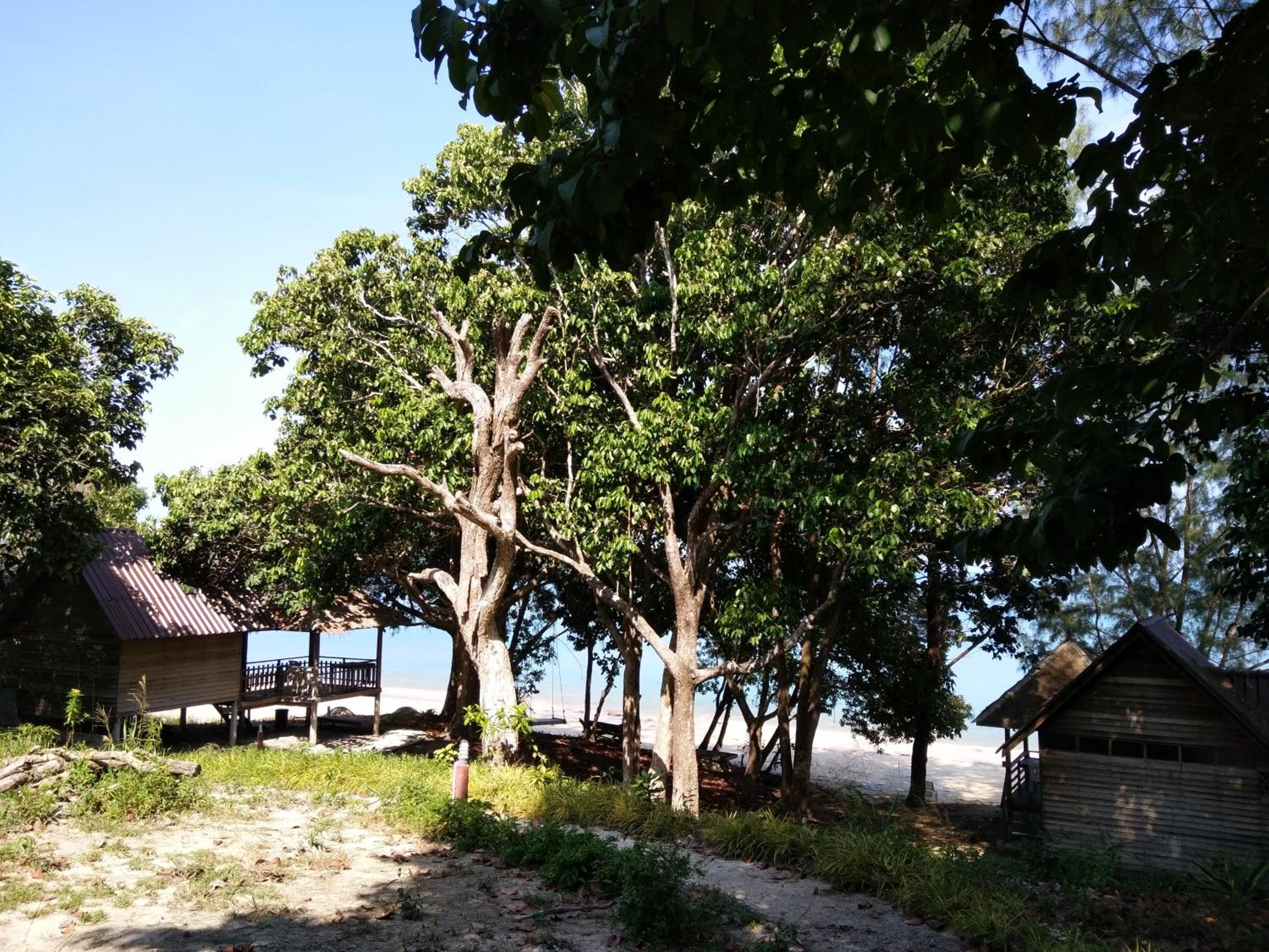 Photo 19
