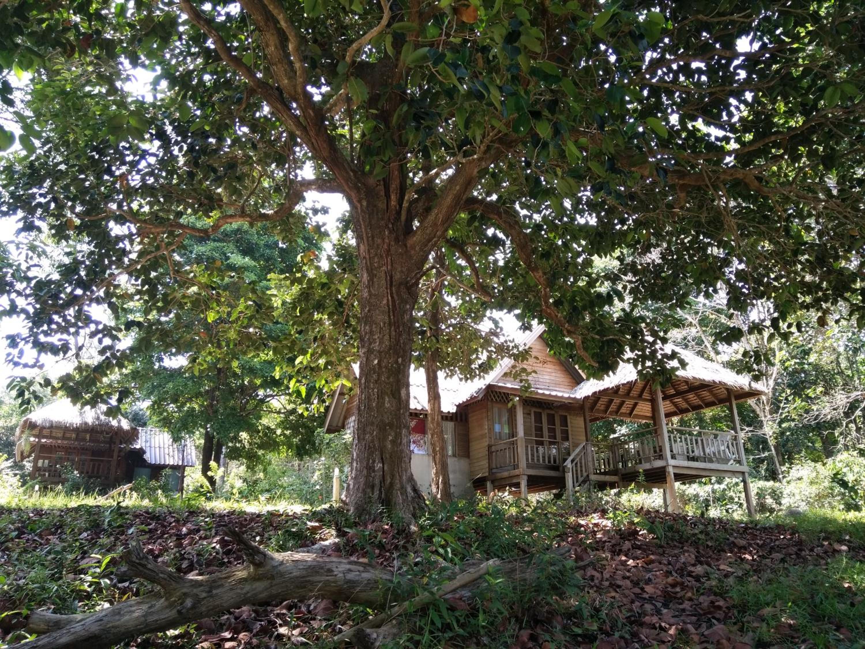 Photo 17