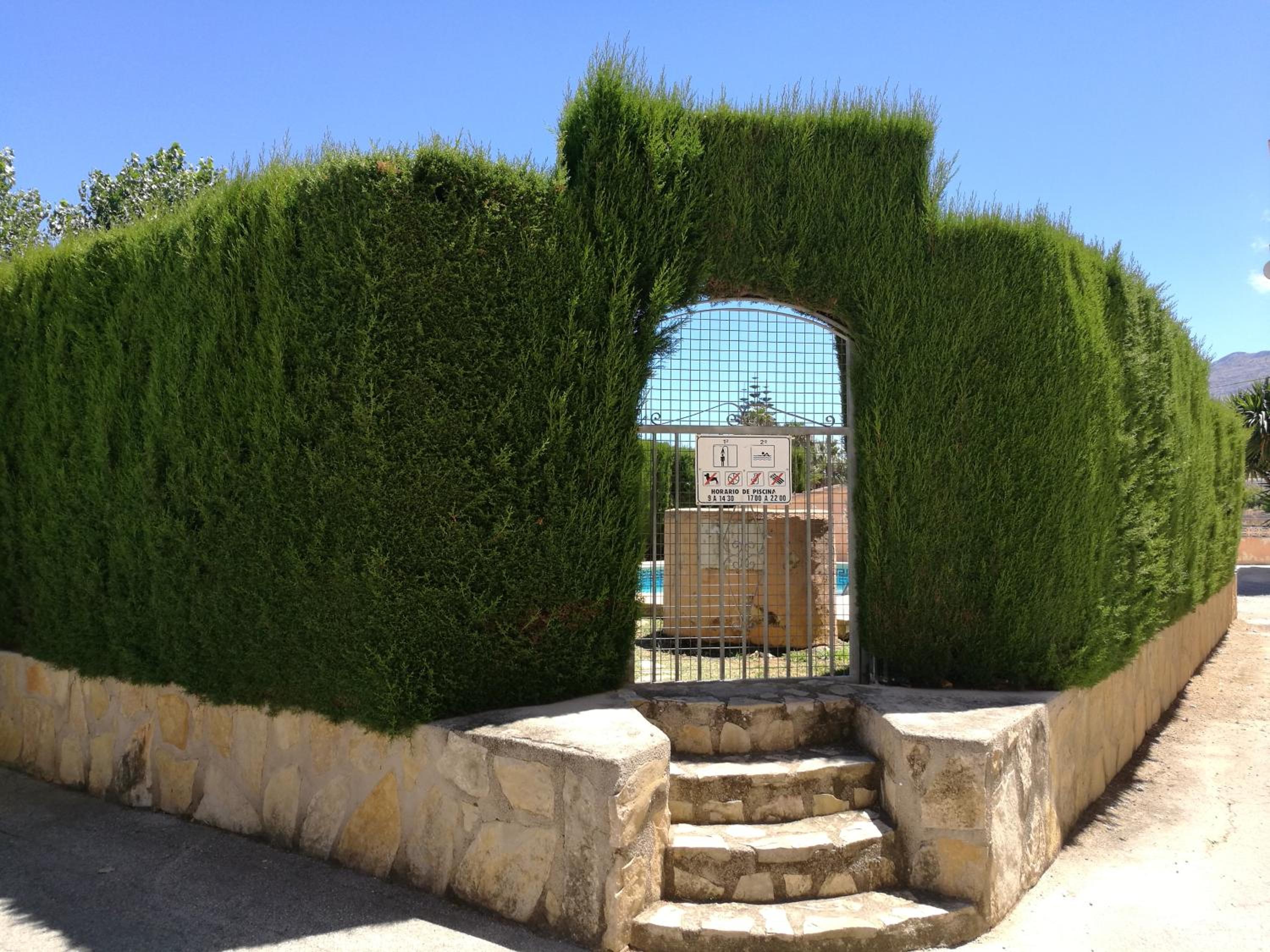 Photo 13