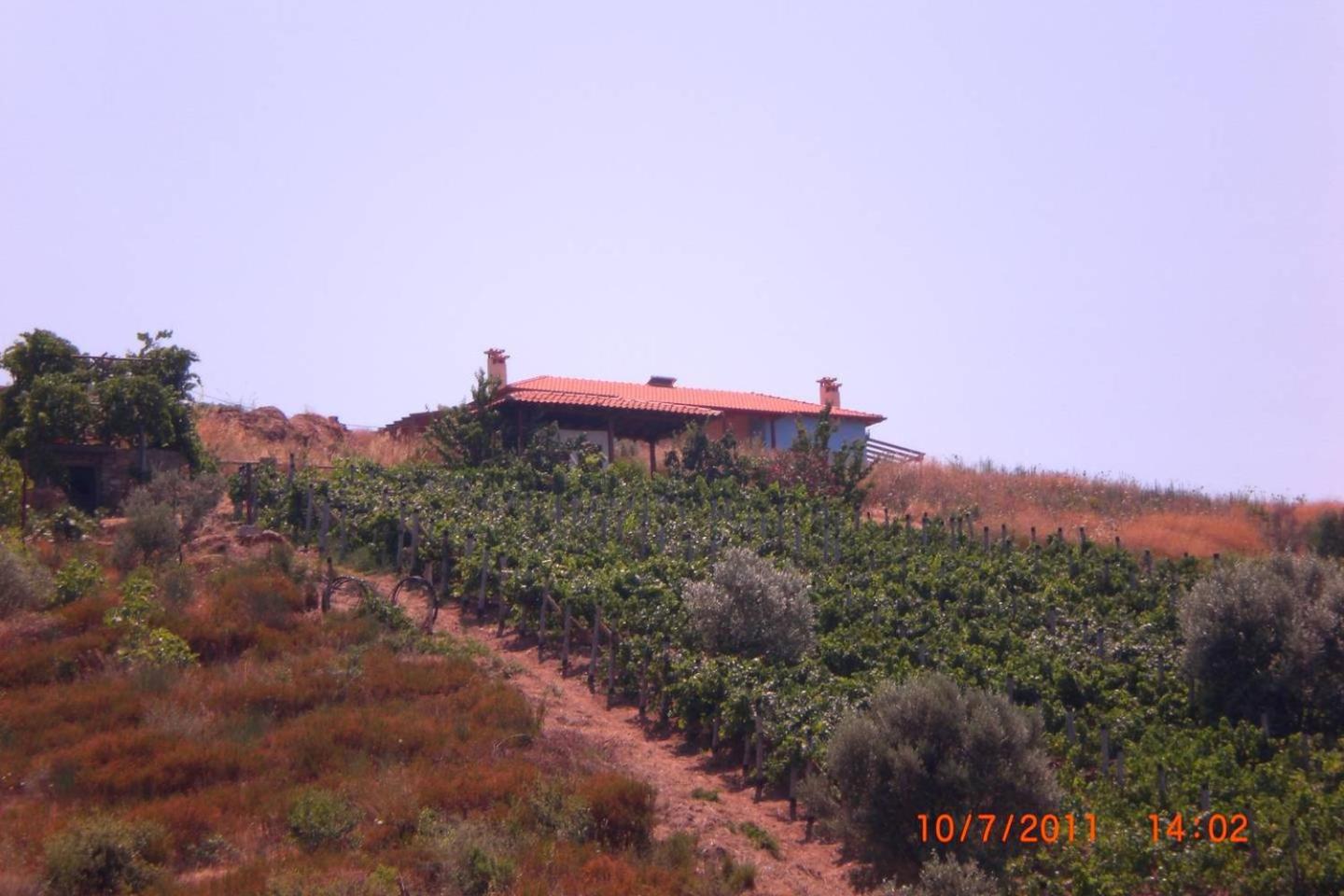 Photo 46