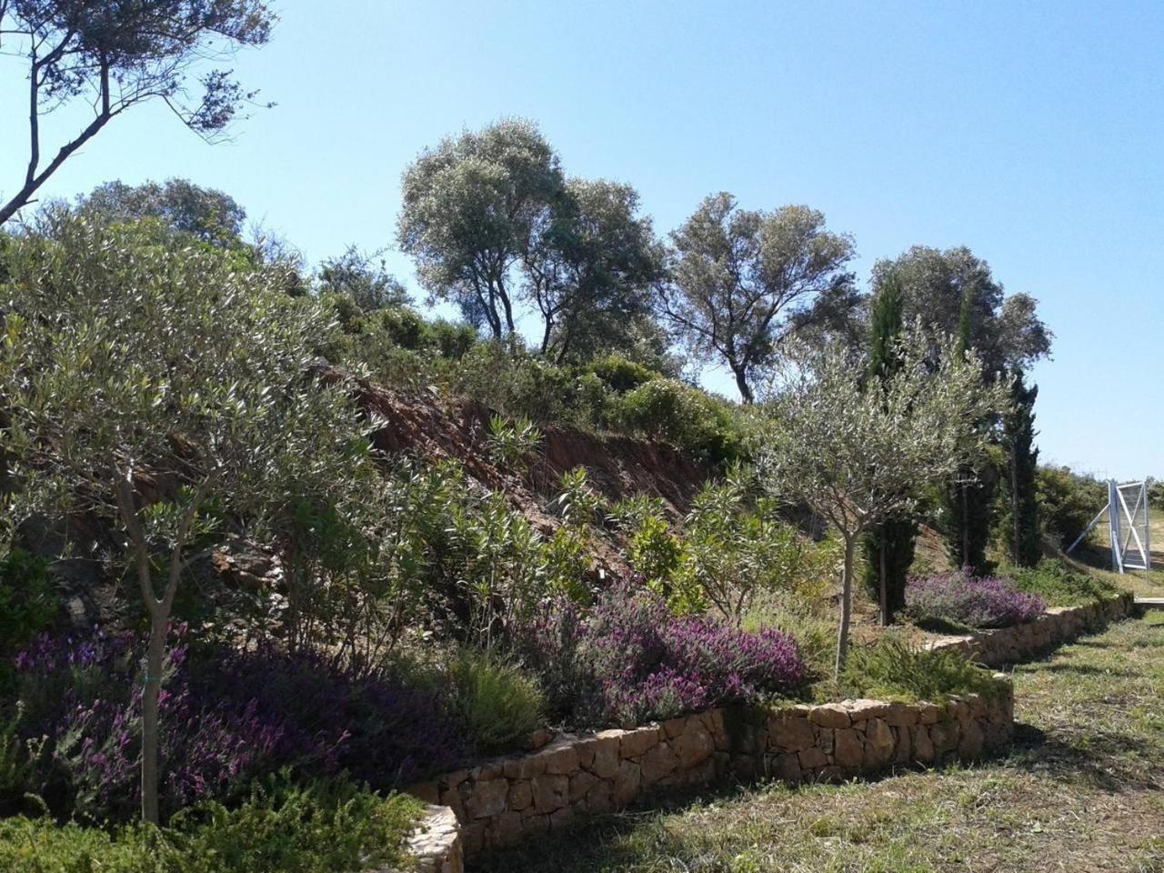 Photo 43