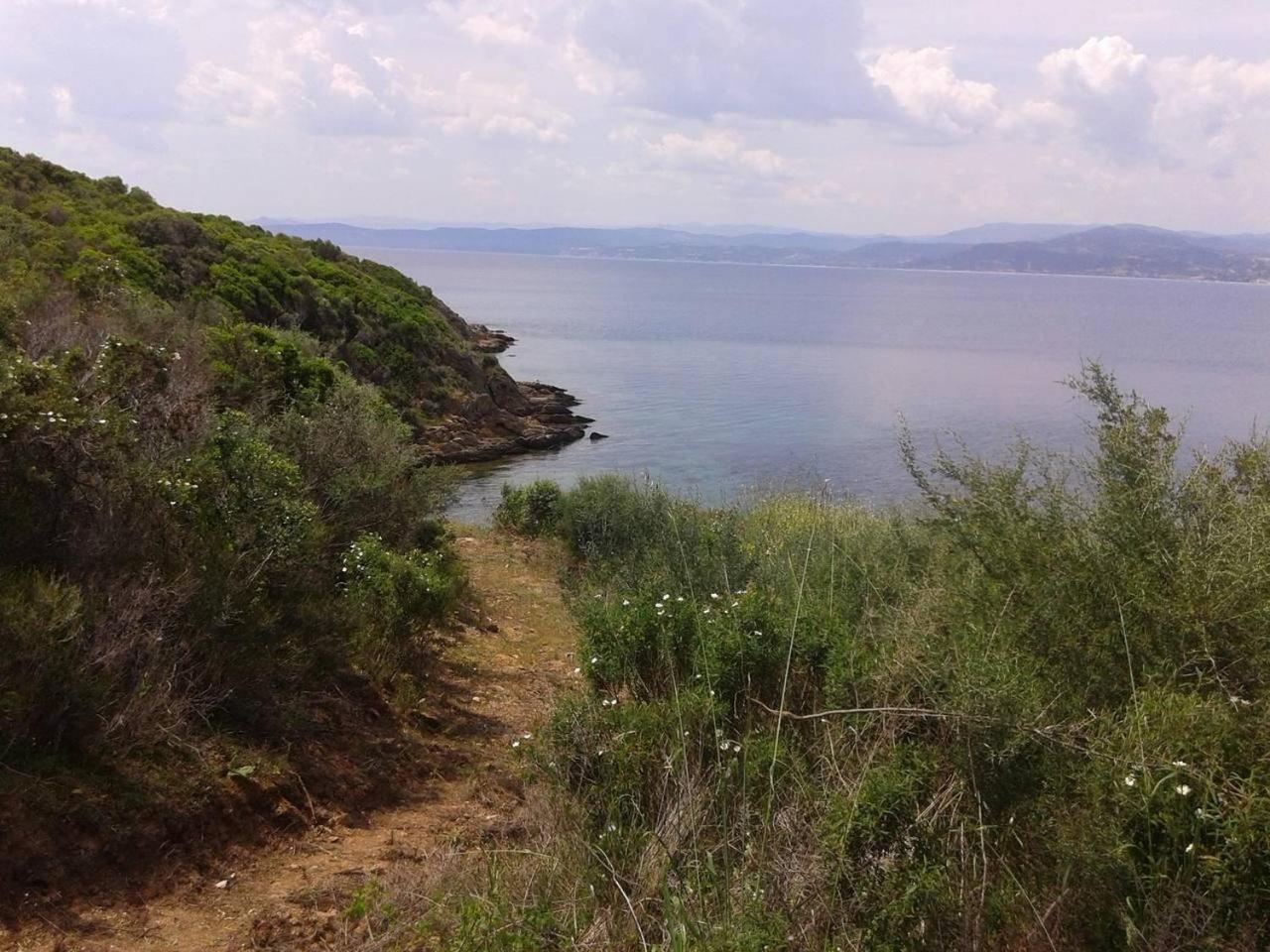Photo 45