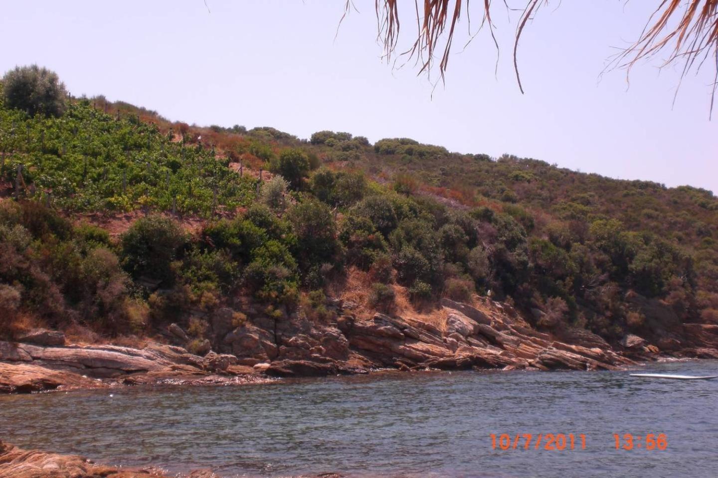 Photo 47