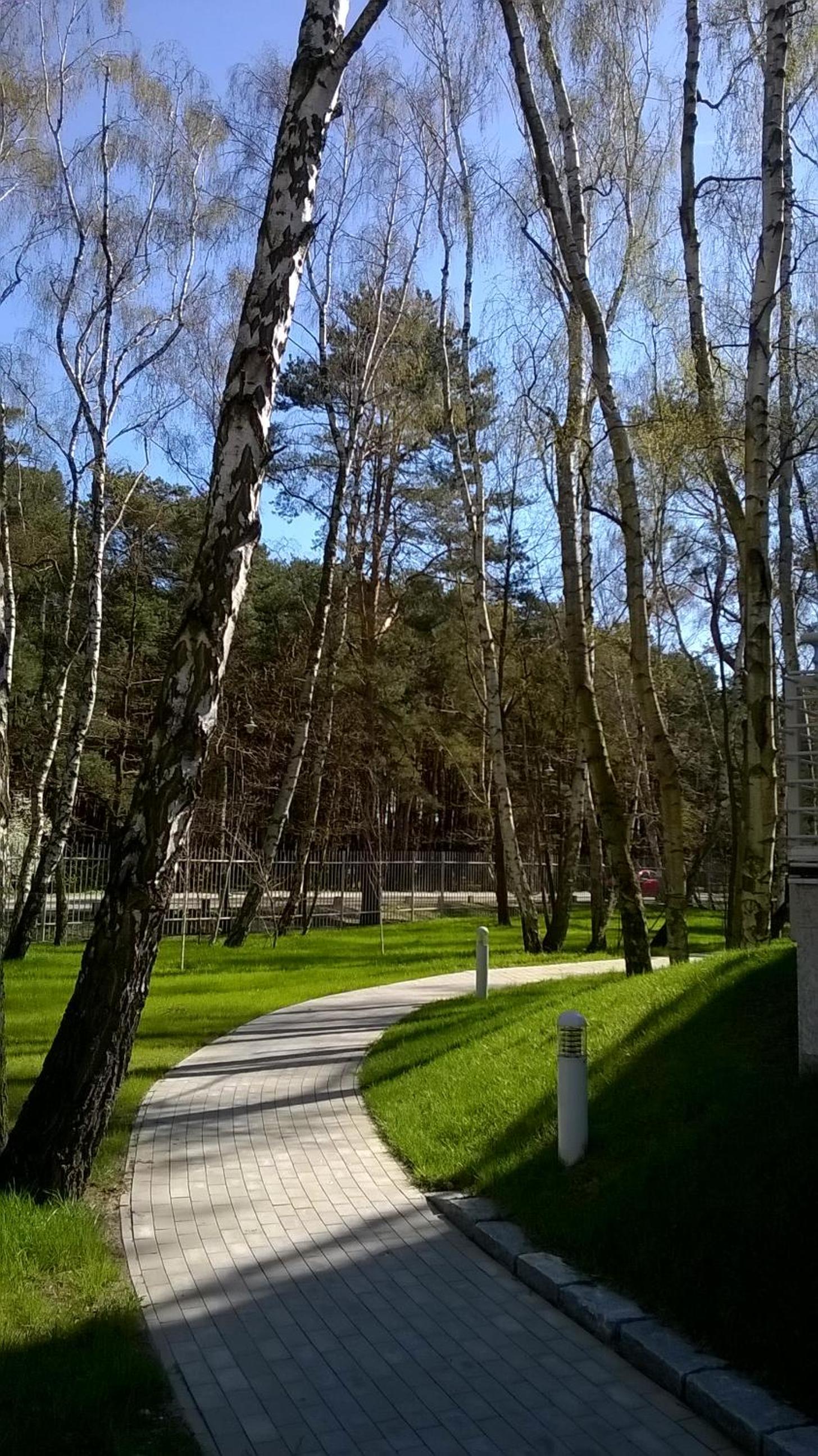 Photo 28