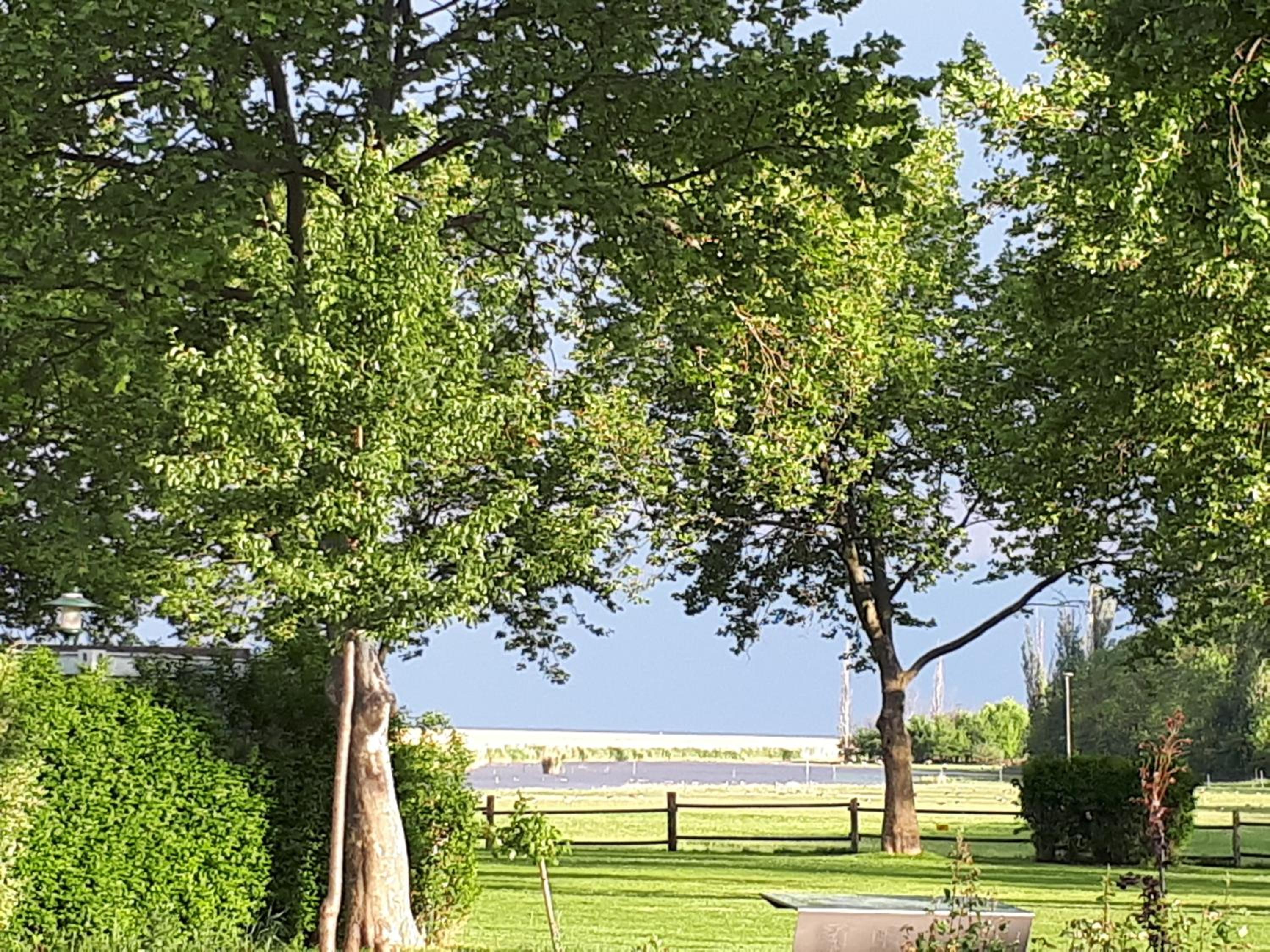 unser rosa Haus für Sie view 3