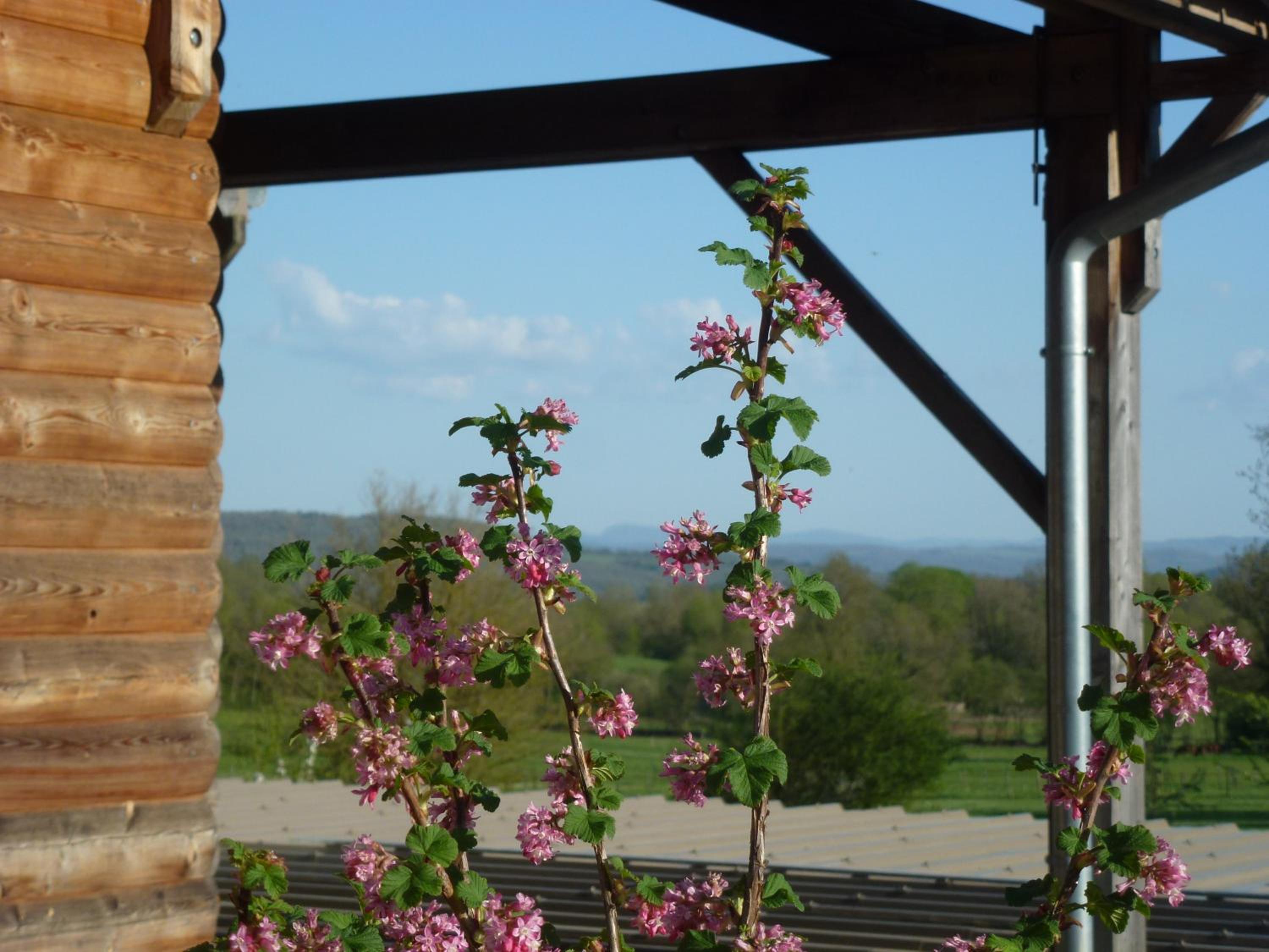 Redspring Chambres d'Hôtes view 5