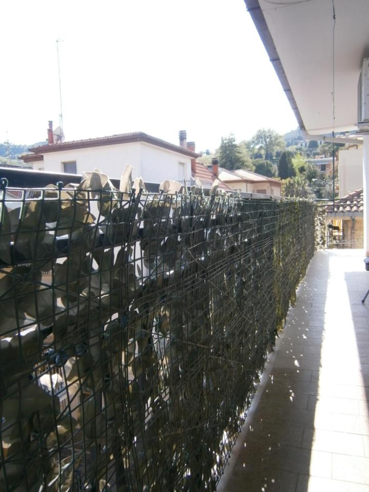 La Finestra sul Cielo photo 5