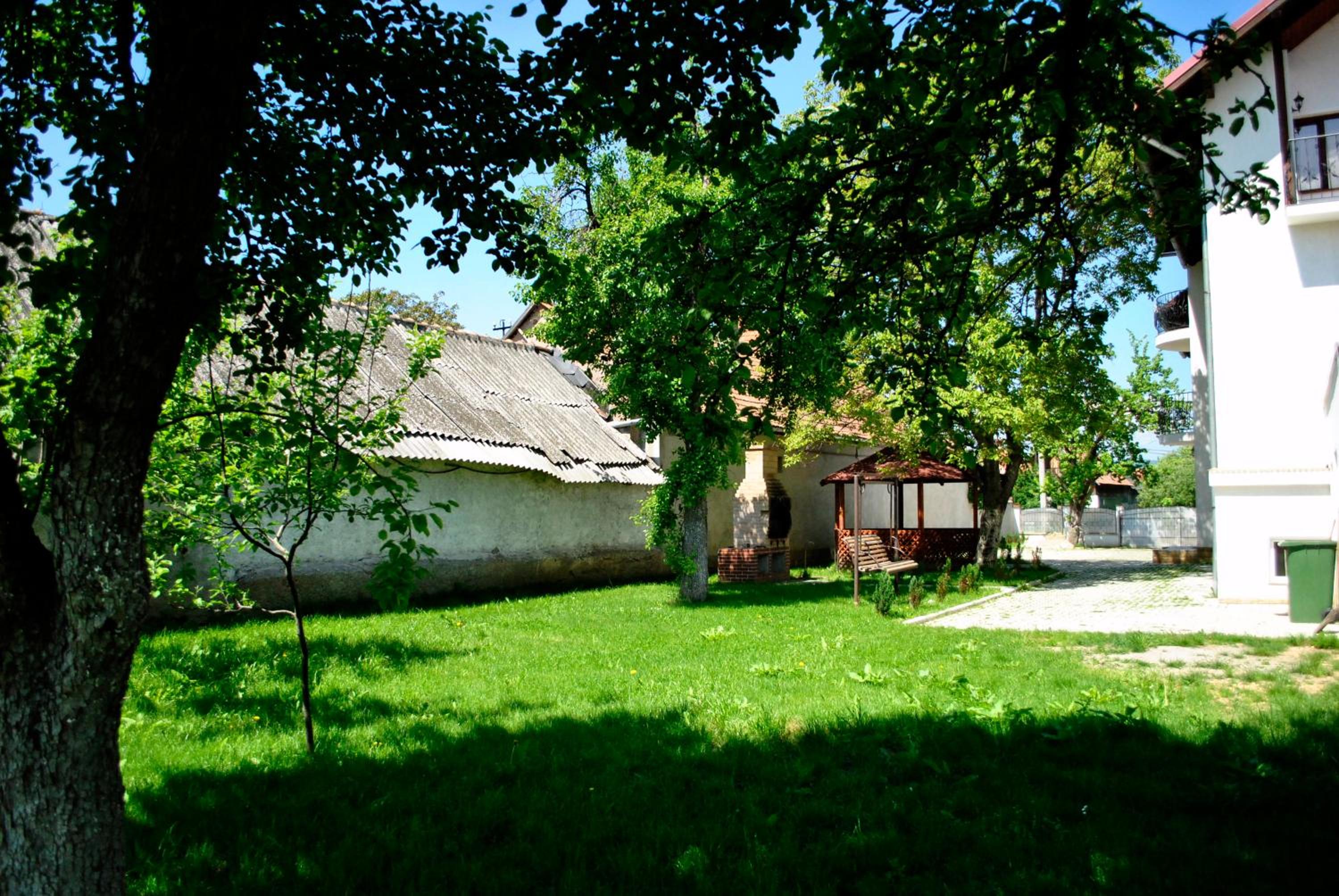 Photo 28