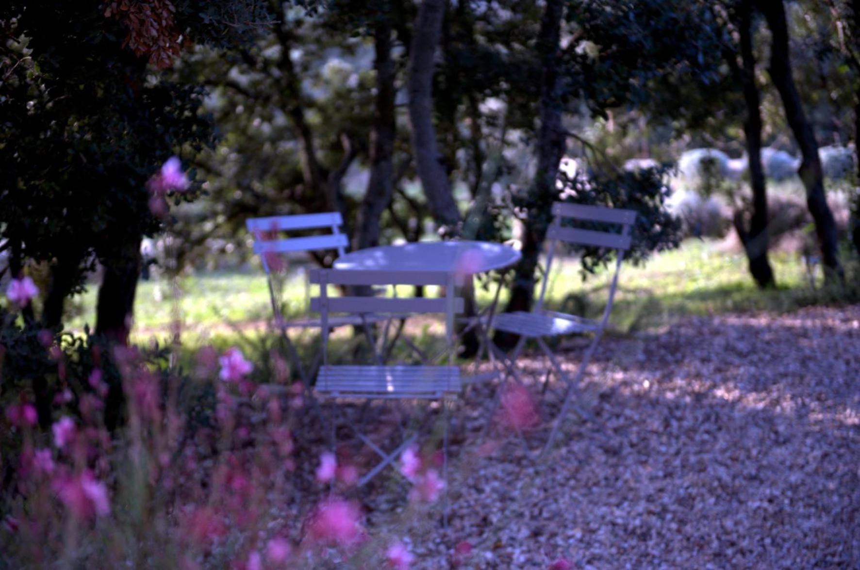 Les Terrasses - Gordes photo 5