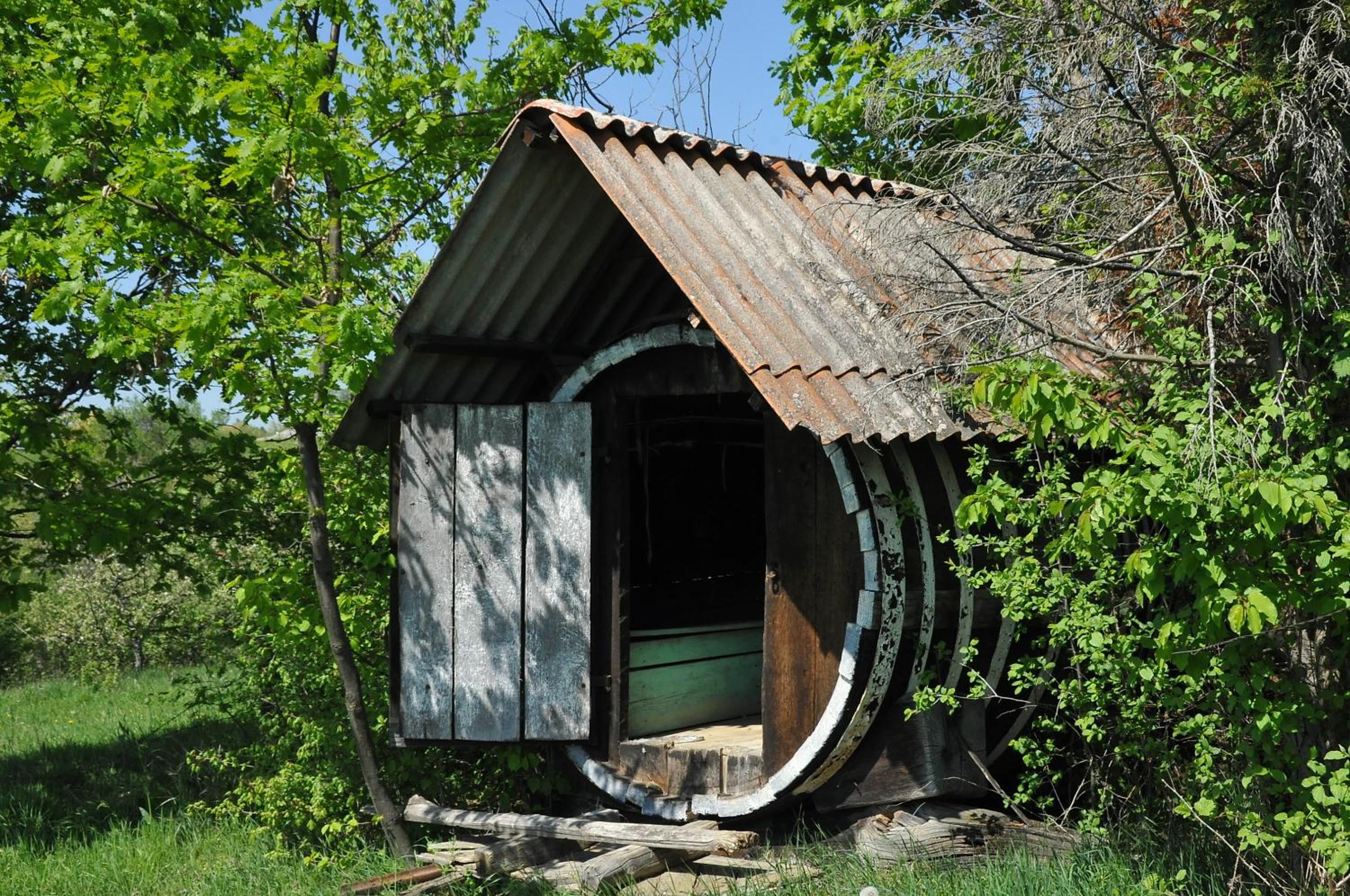 Photo 11