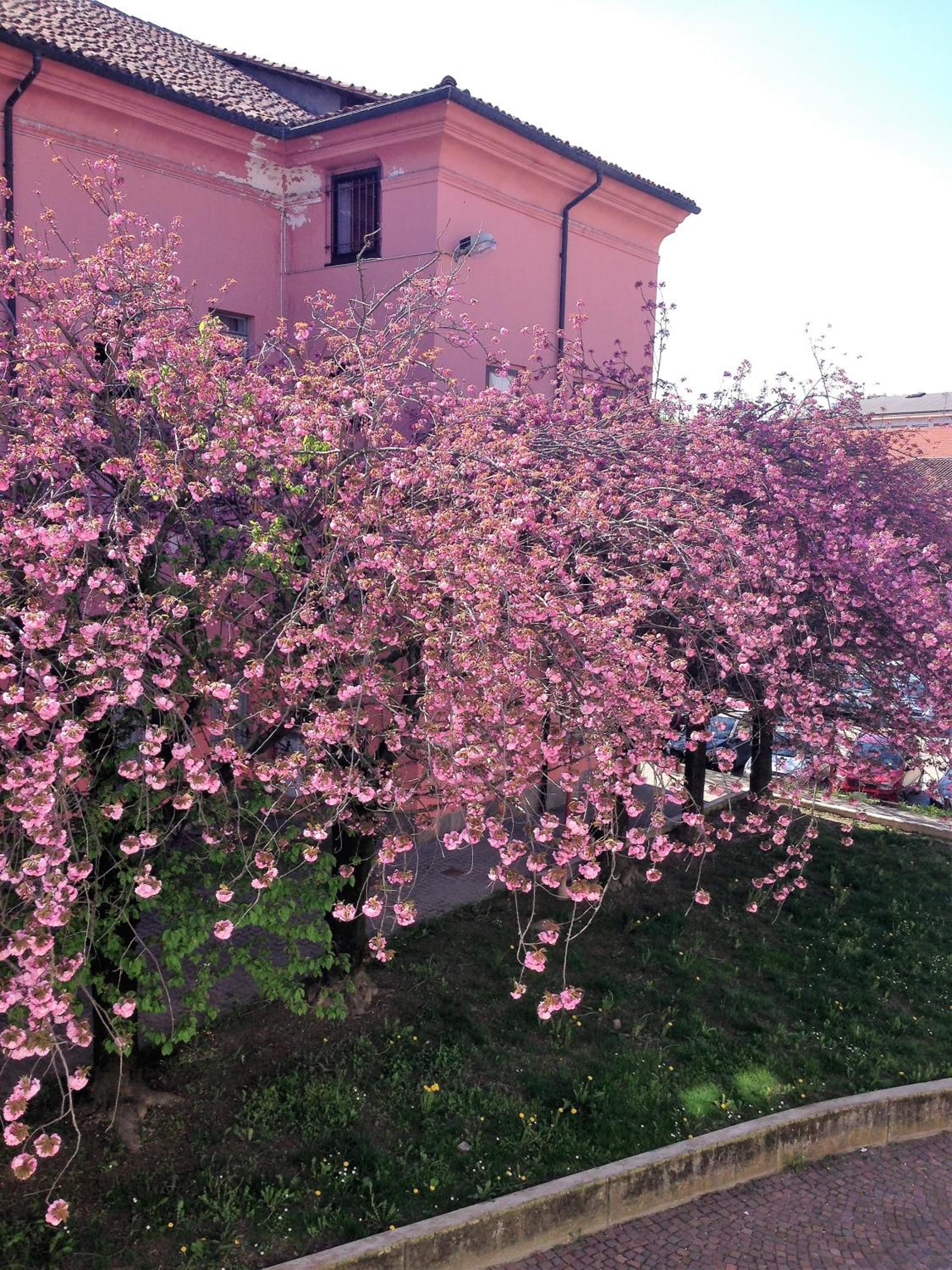 Casa Agnese