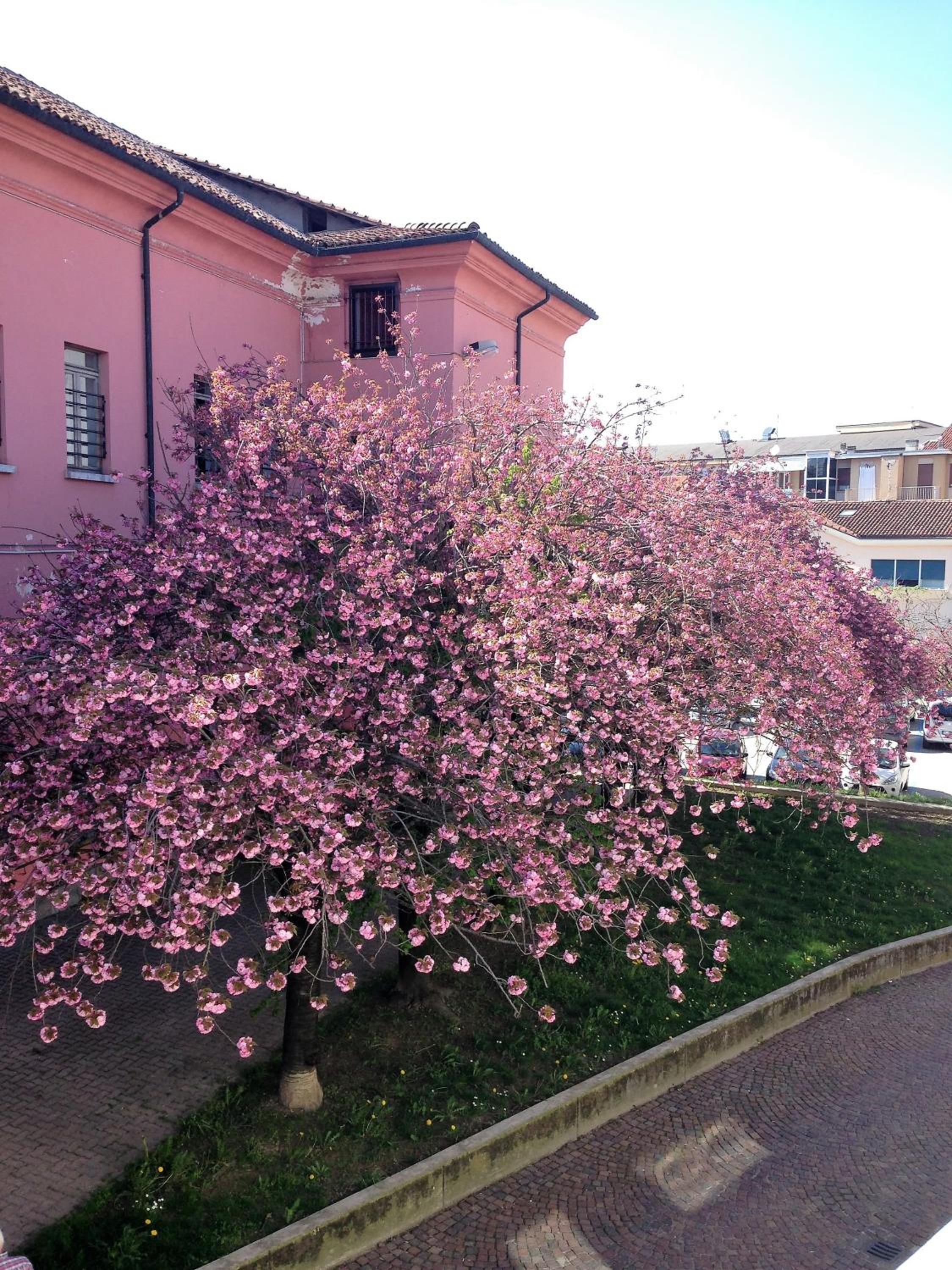 Casa Agnese