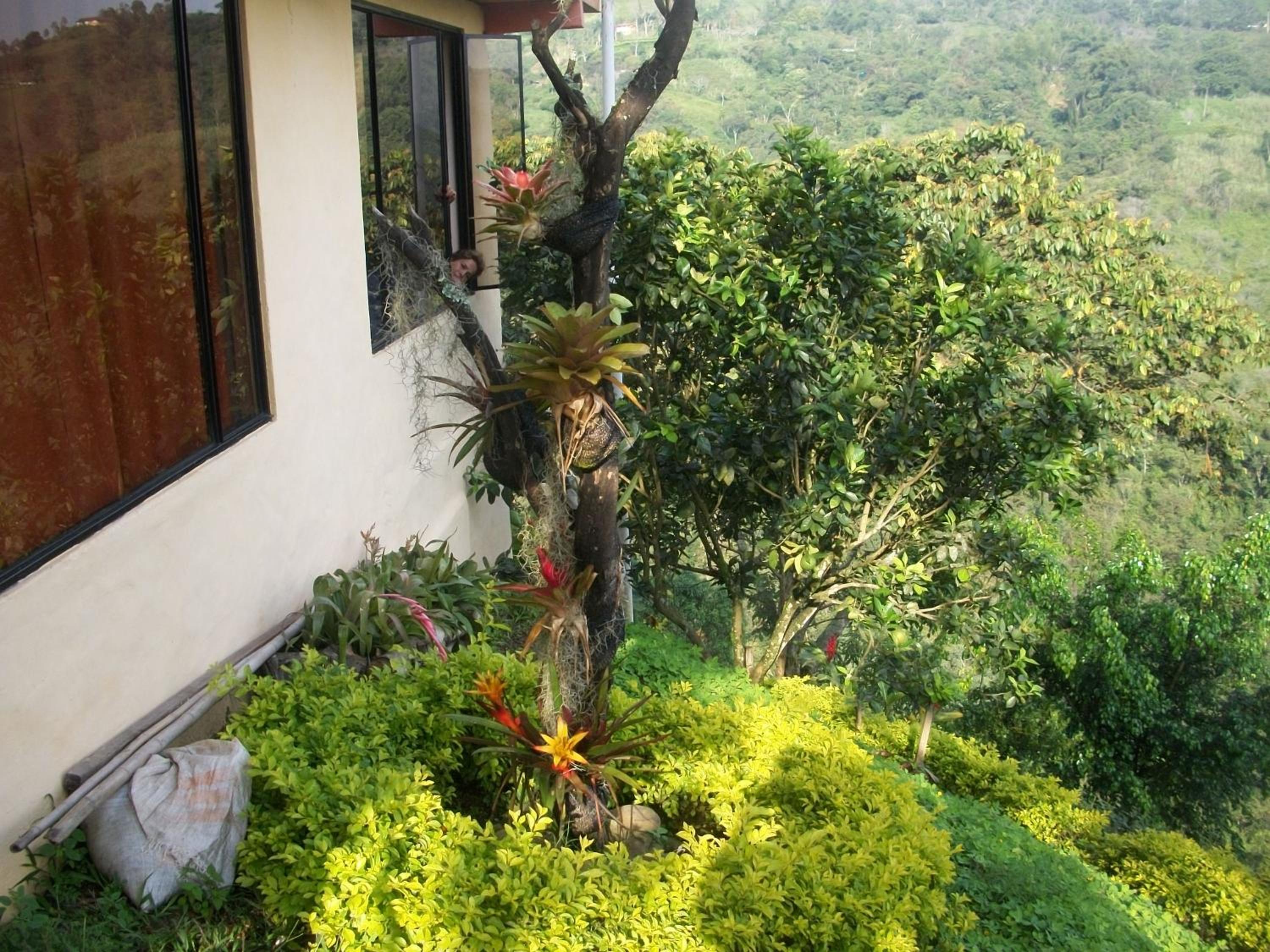 finca Las Margaritas