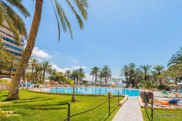 Marazul del Sur view 5