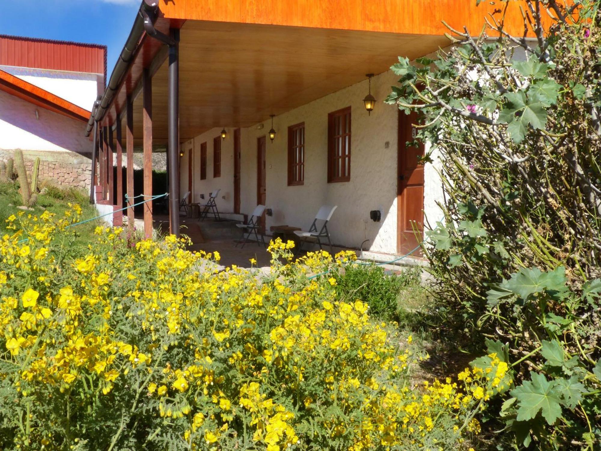 Photo 26