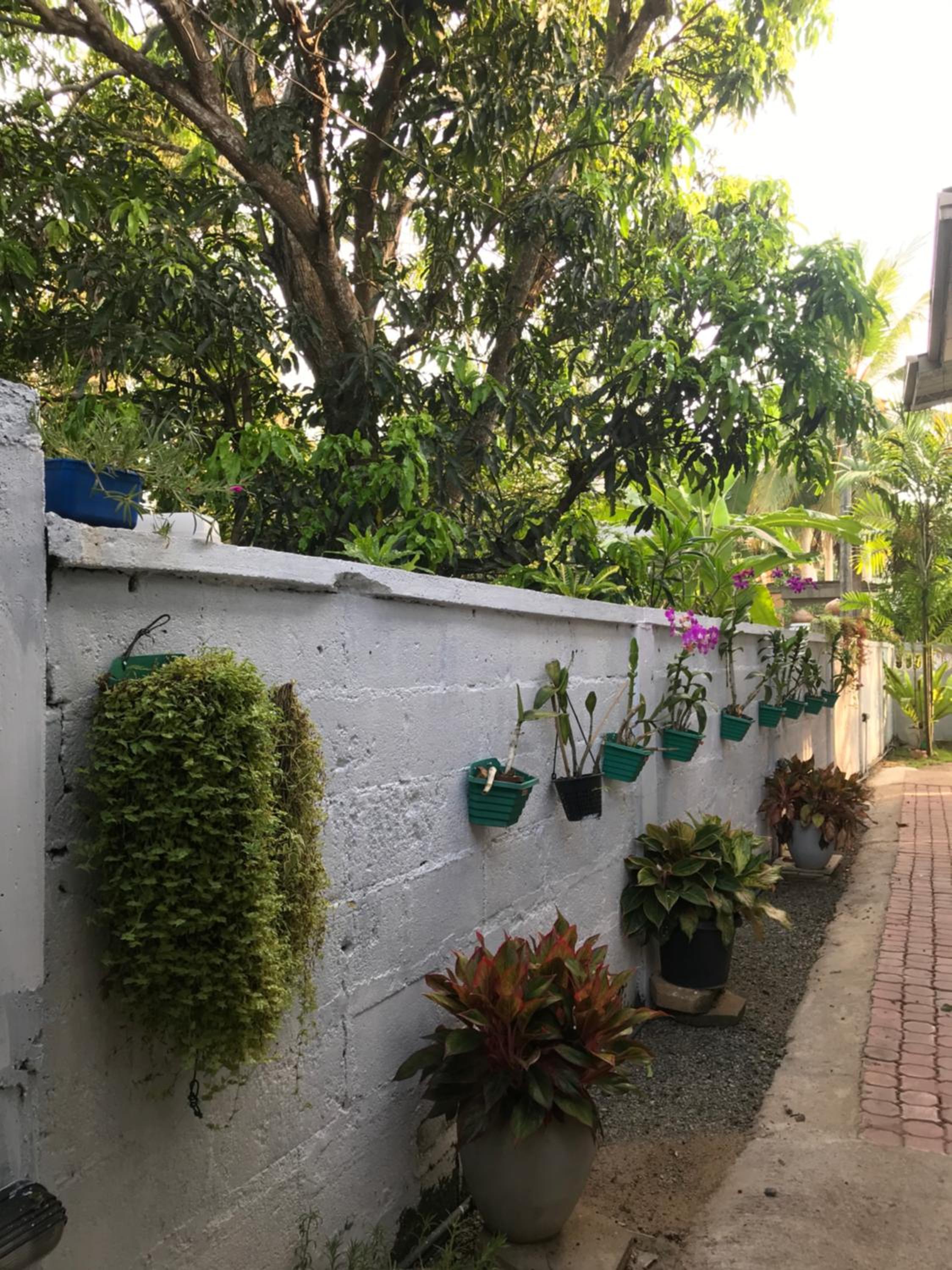 Pinidiya Resort