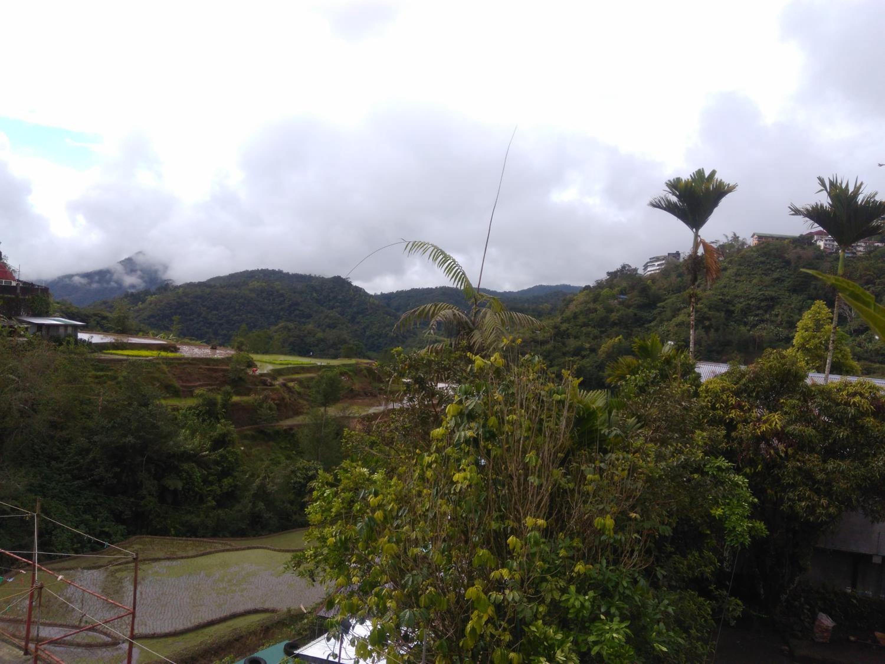 other