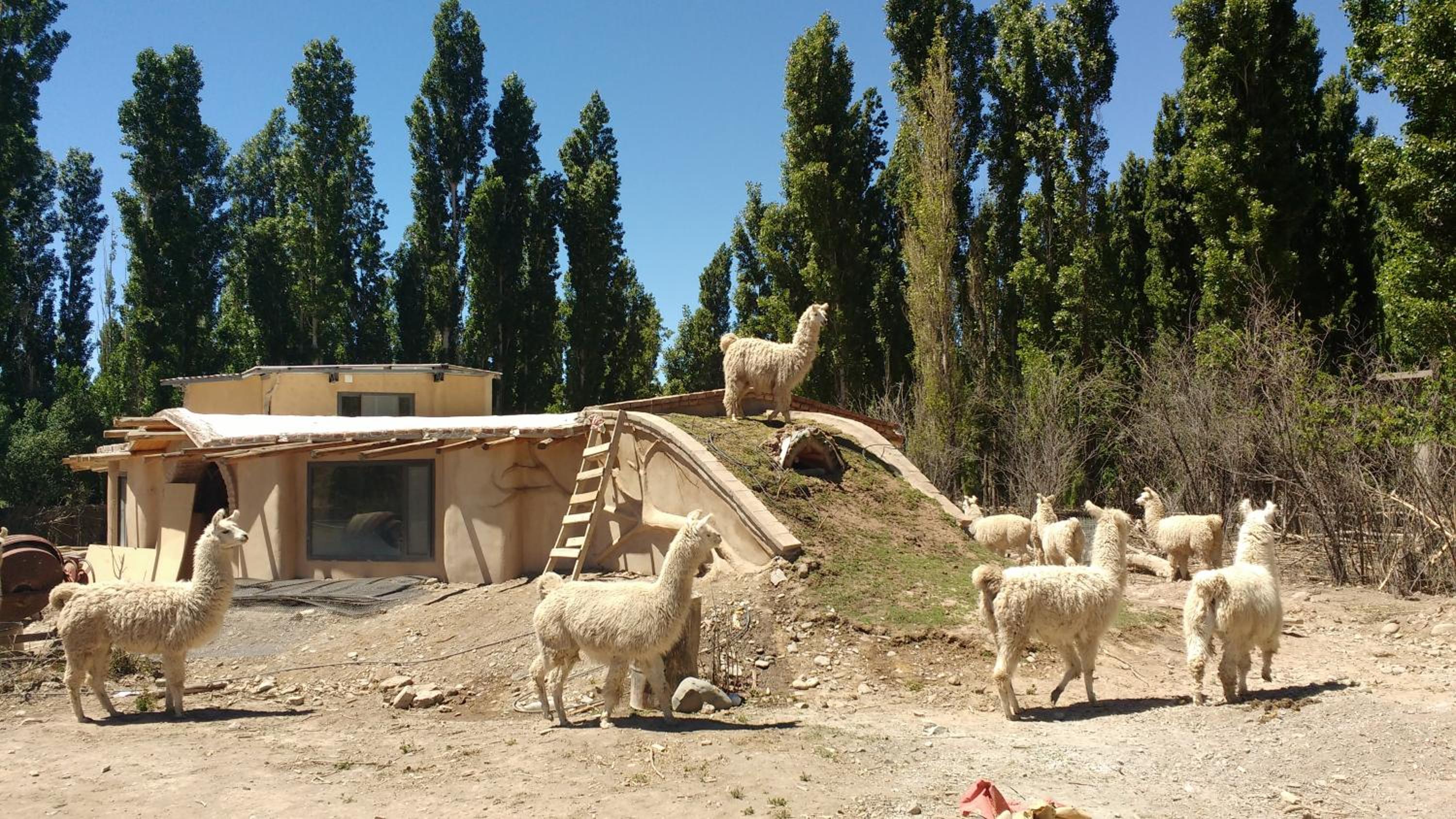 La Comarca del Jarillal