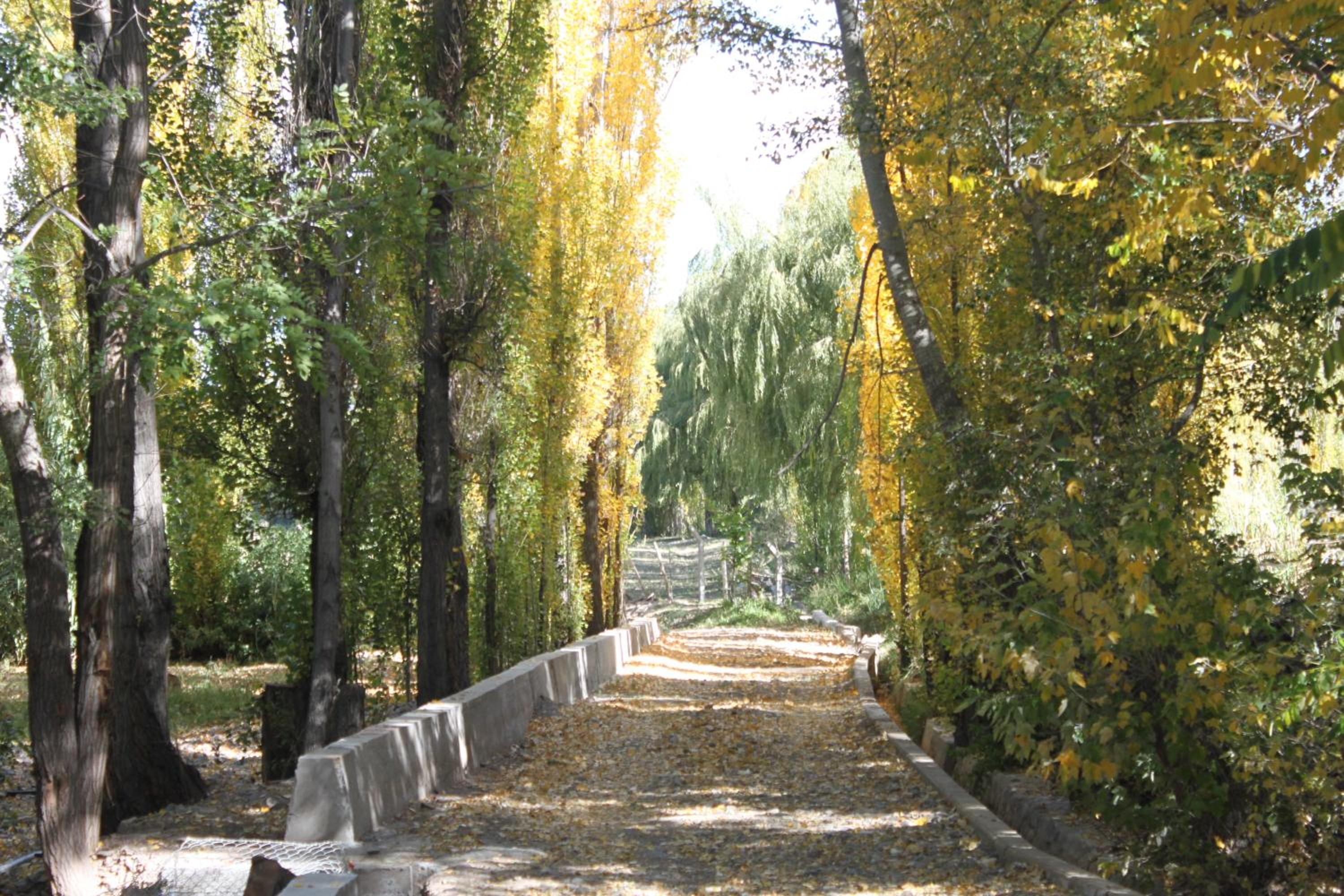 La Comarca del Jarillal