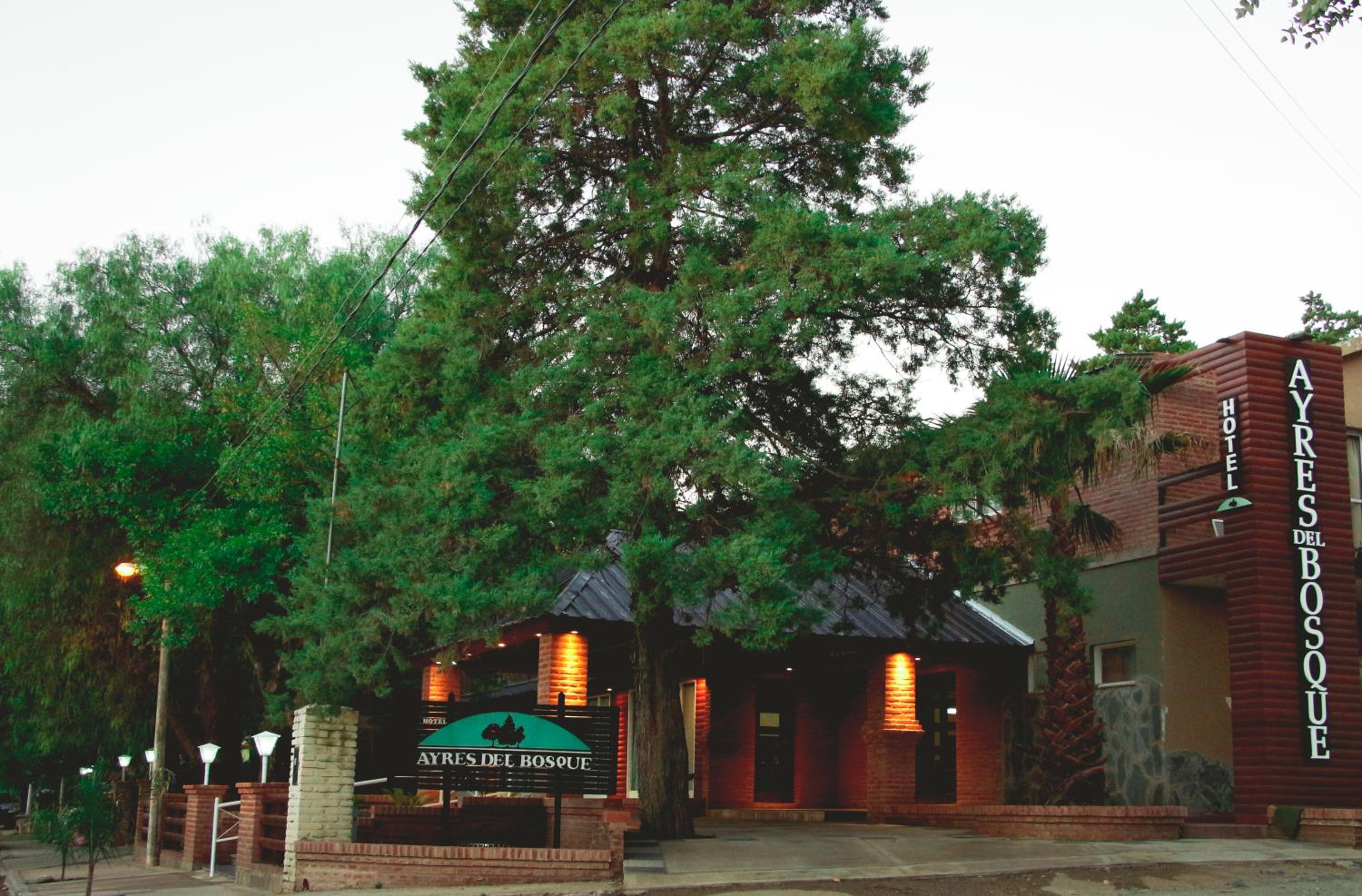 Ayres del Bosque
