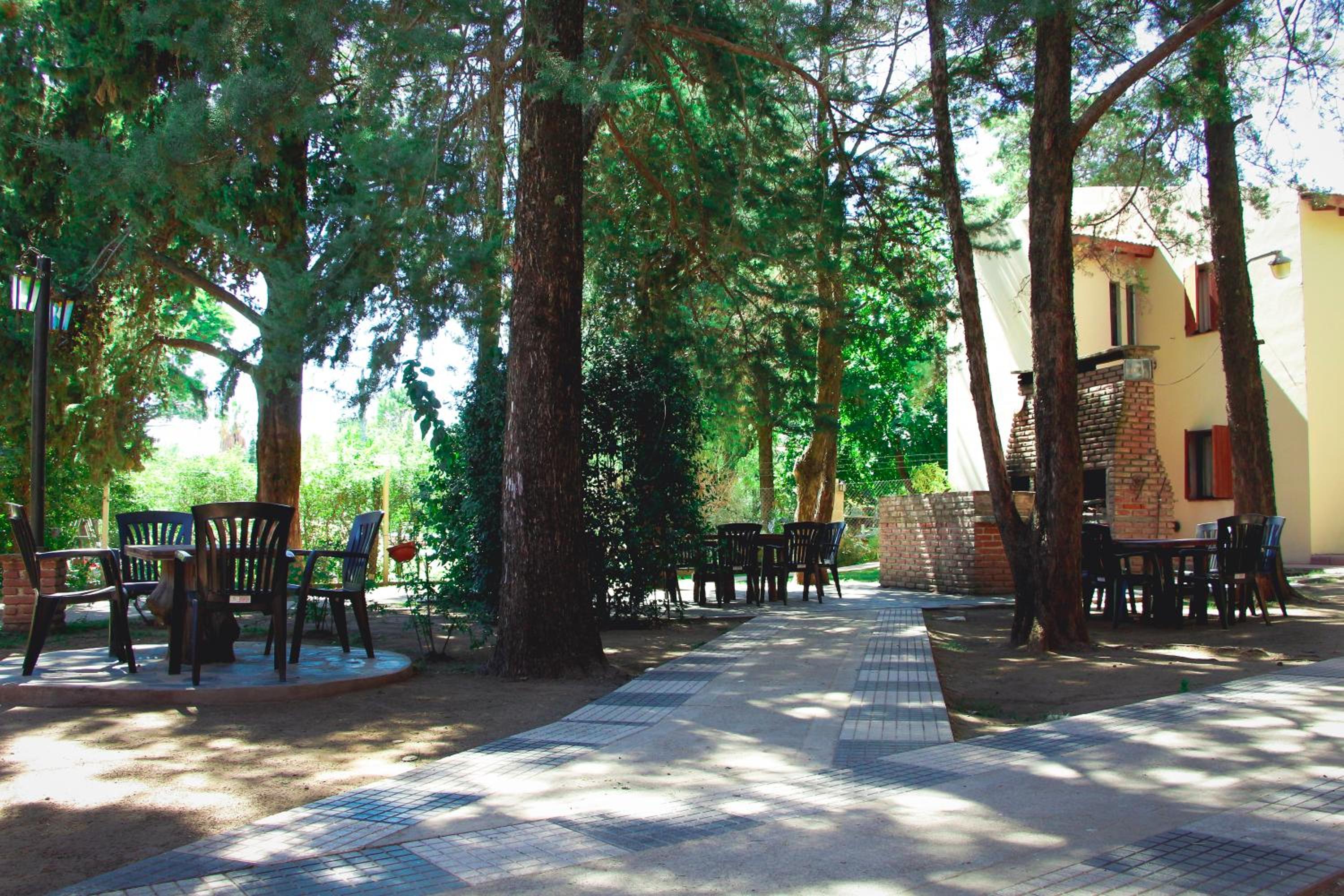 Ayres del Bosque