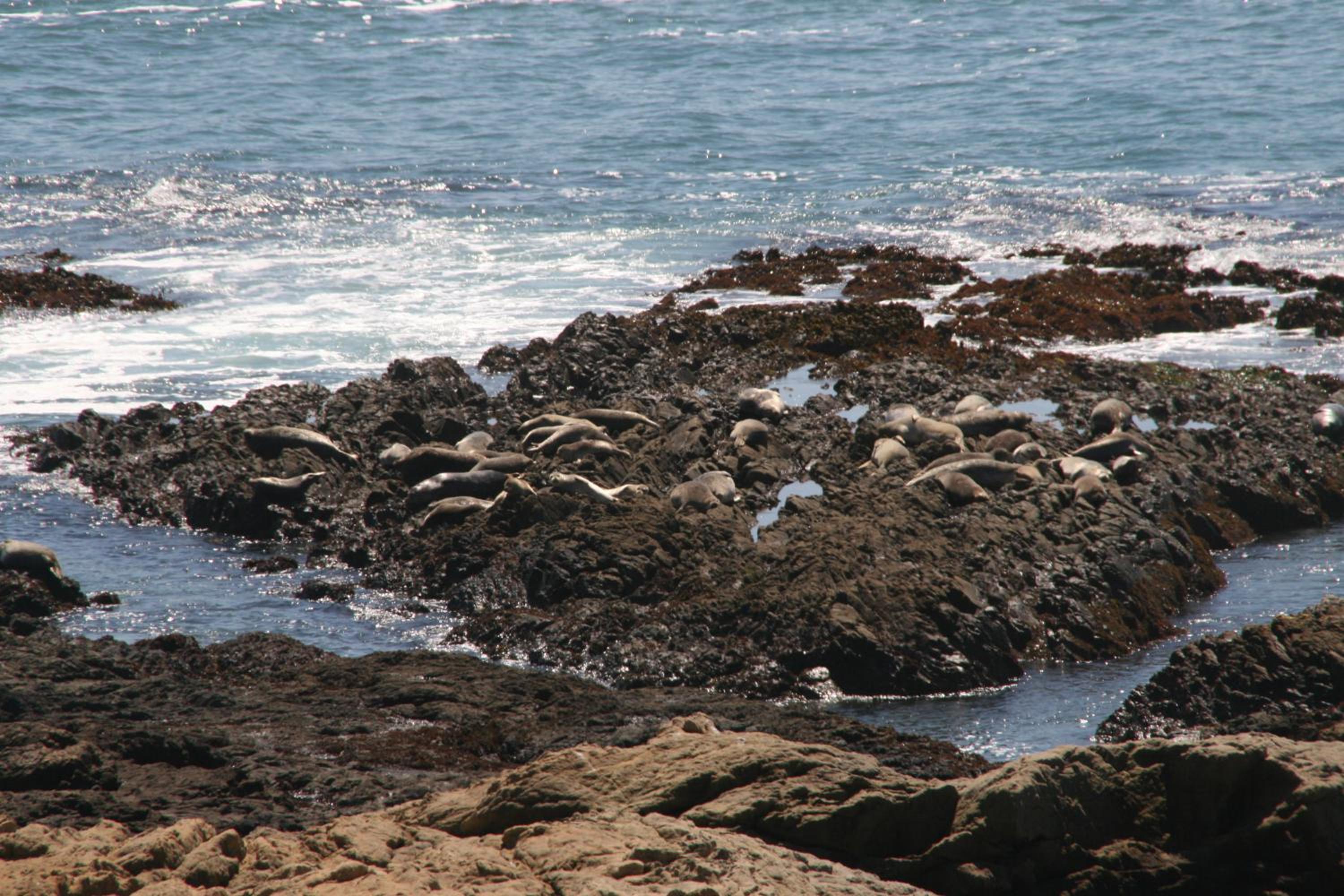 Photo 46