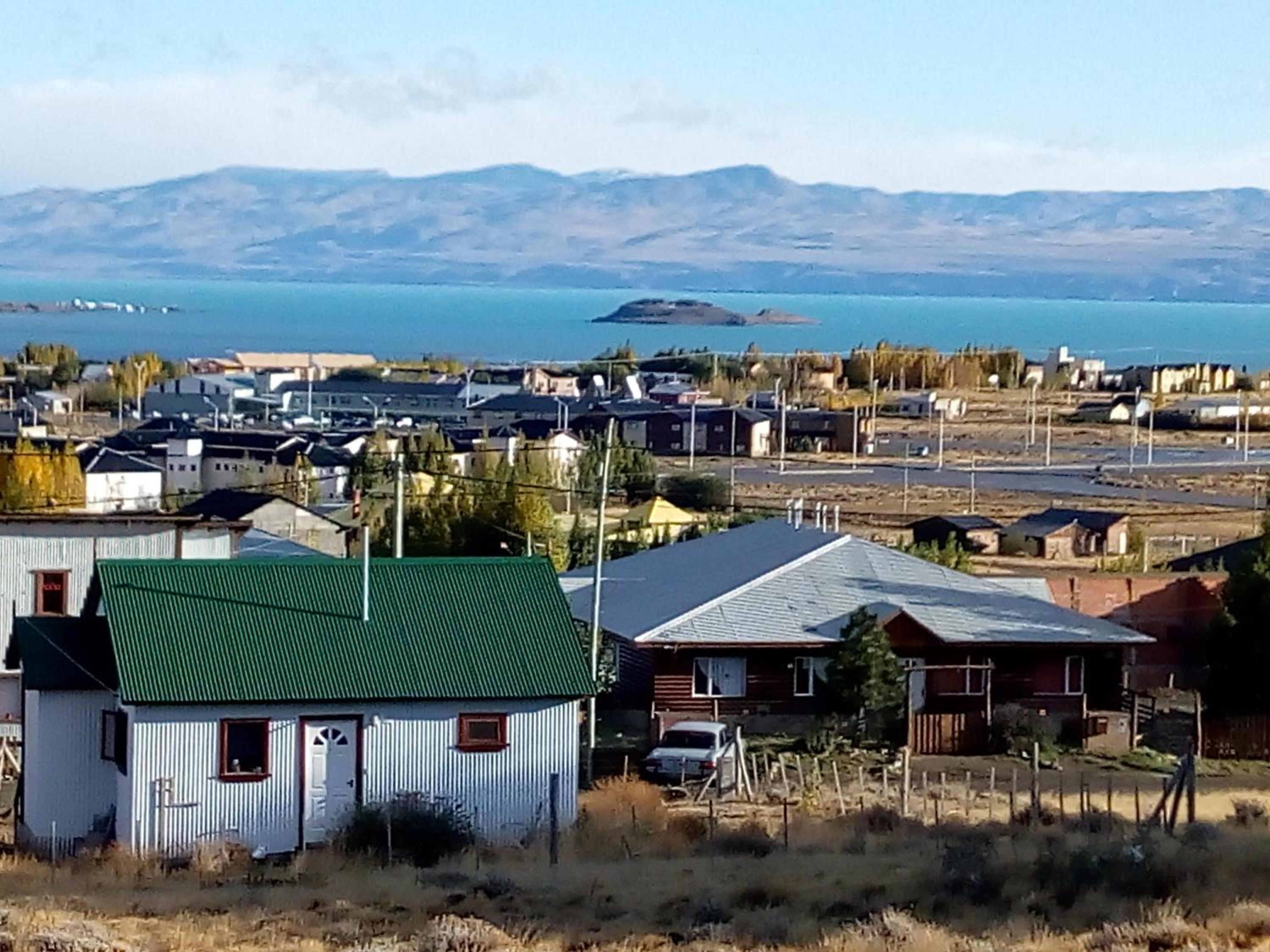 La mata de calafate