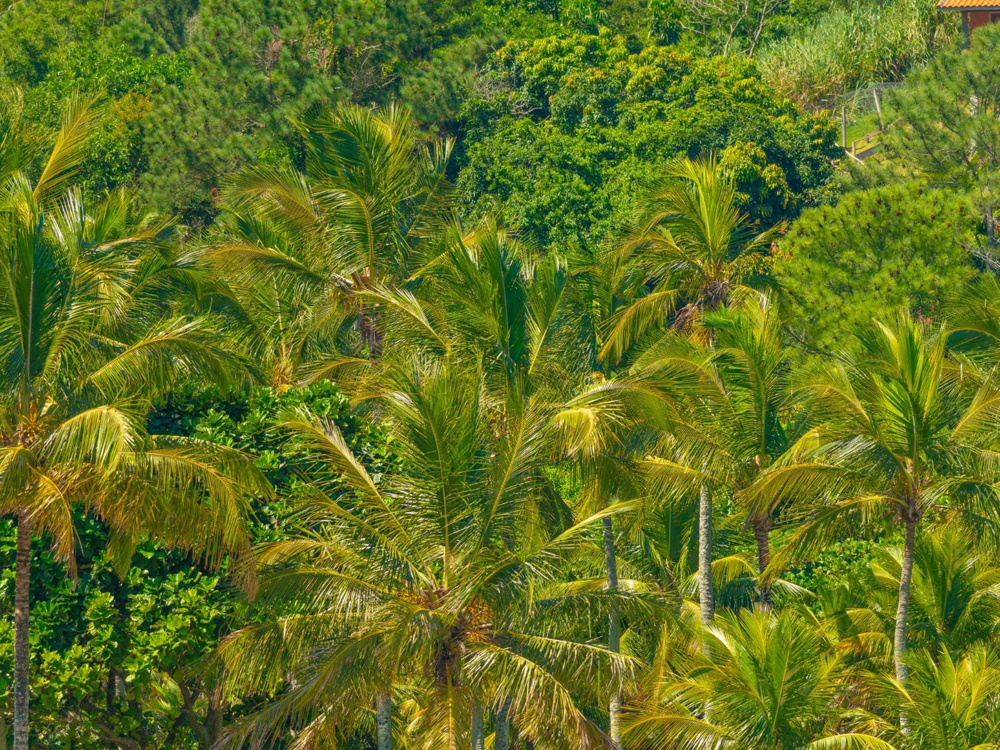 Pousada Vila Barequeçaba