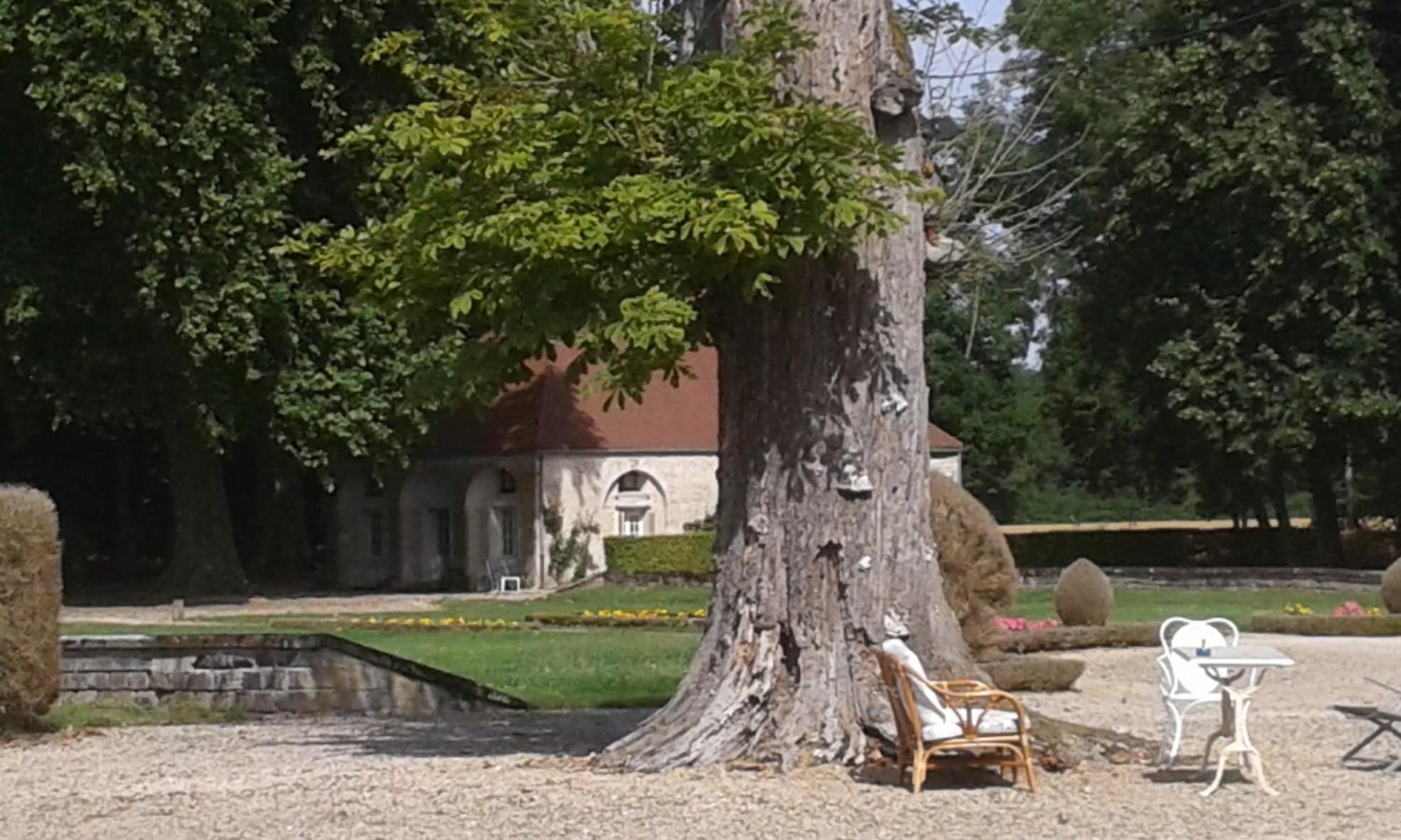 Photo 43