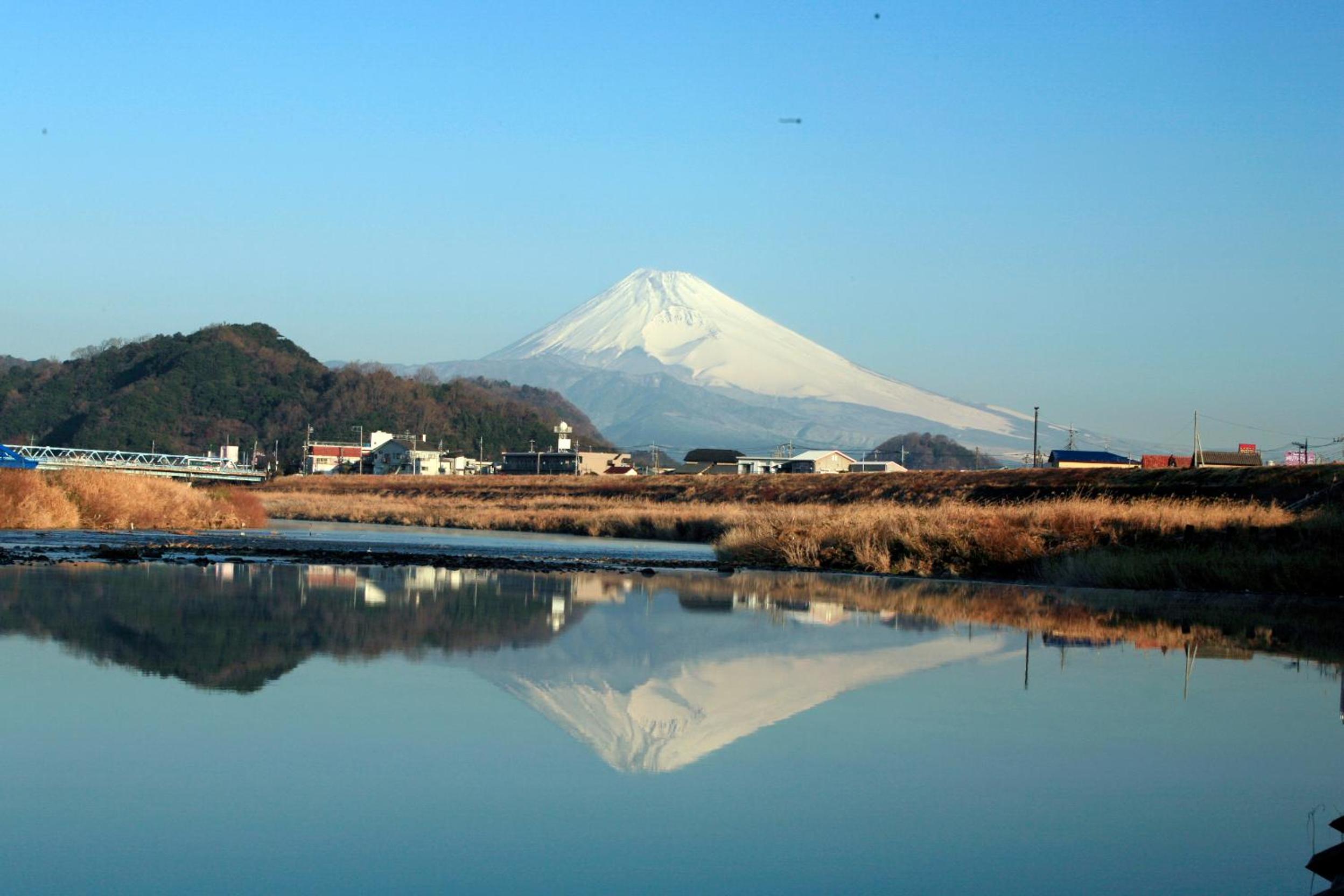 Honjin
