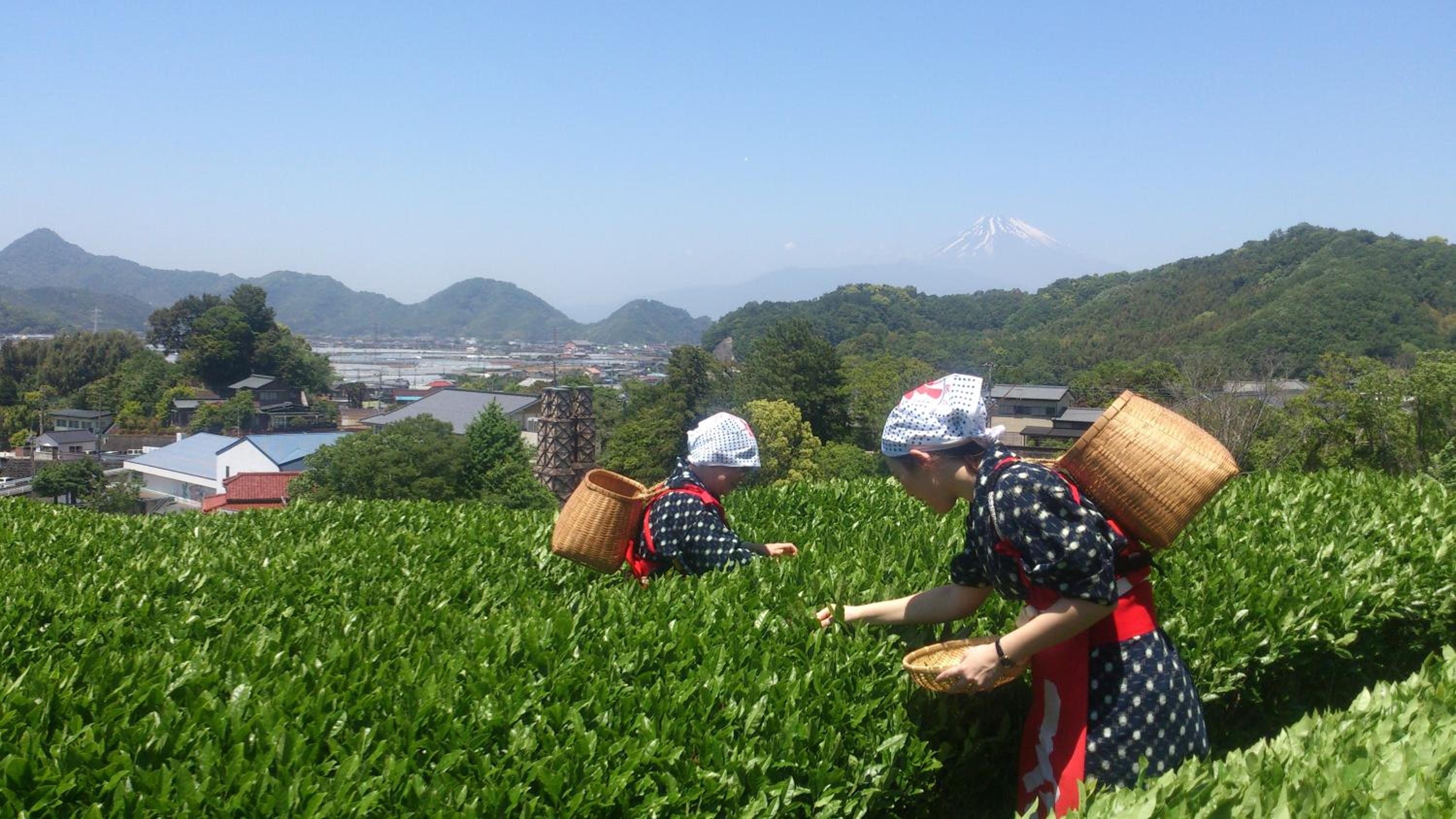 Honjin