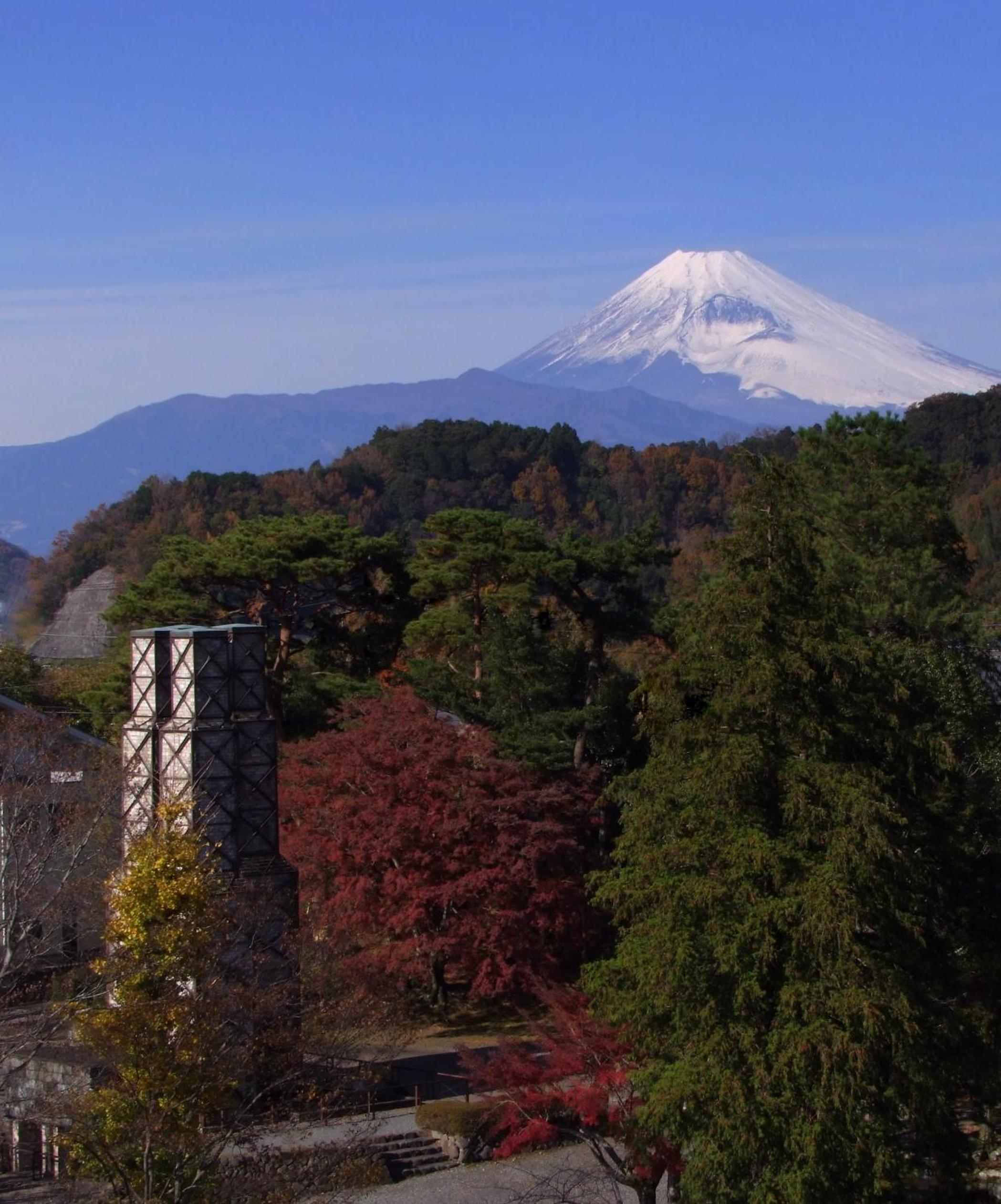 Honjin