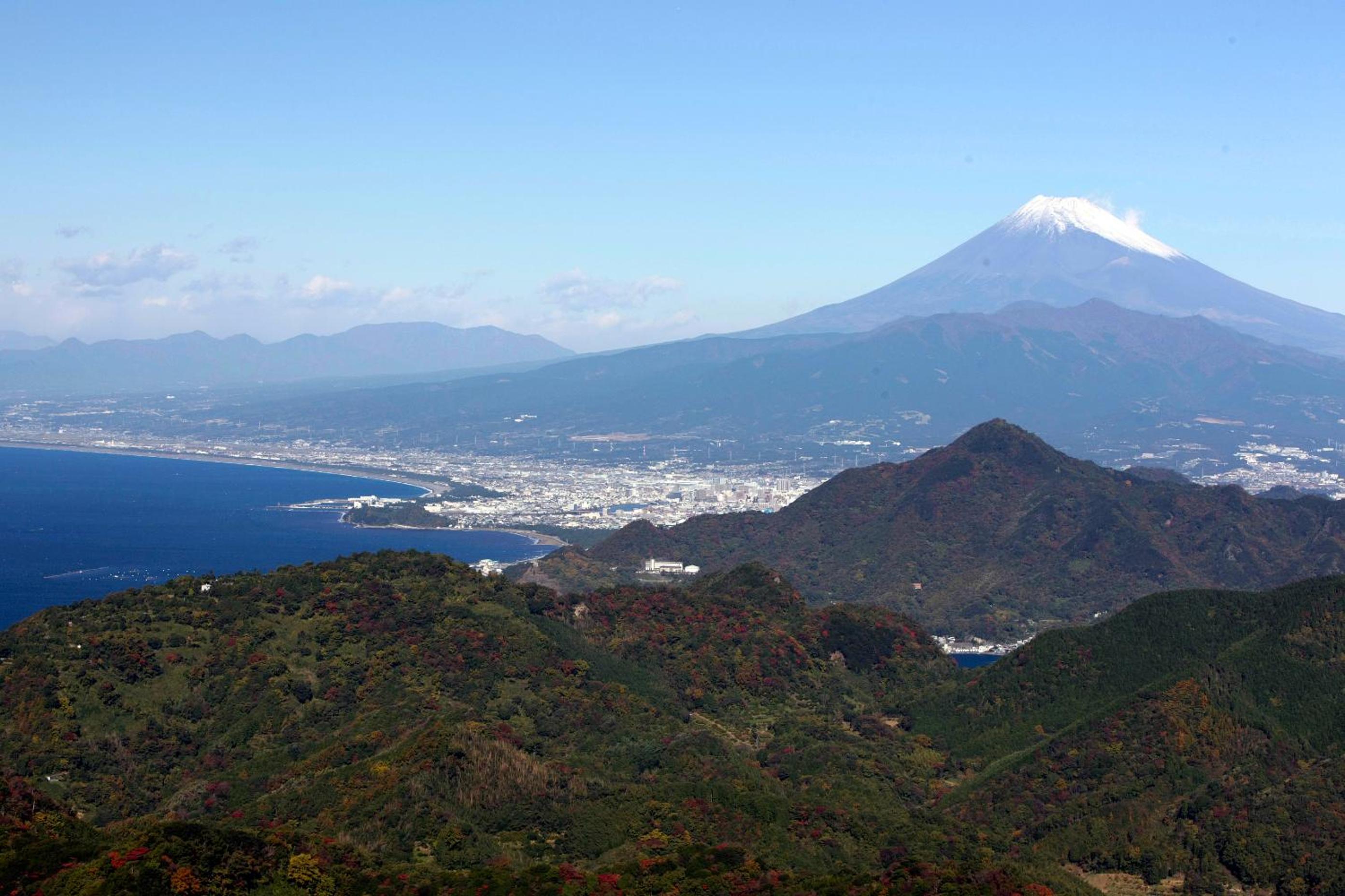 Honjin