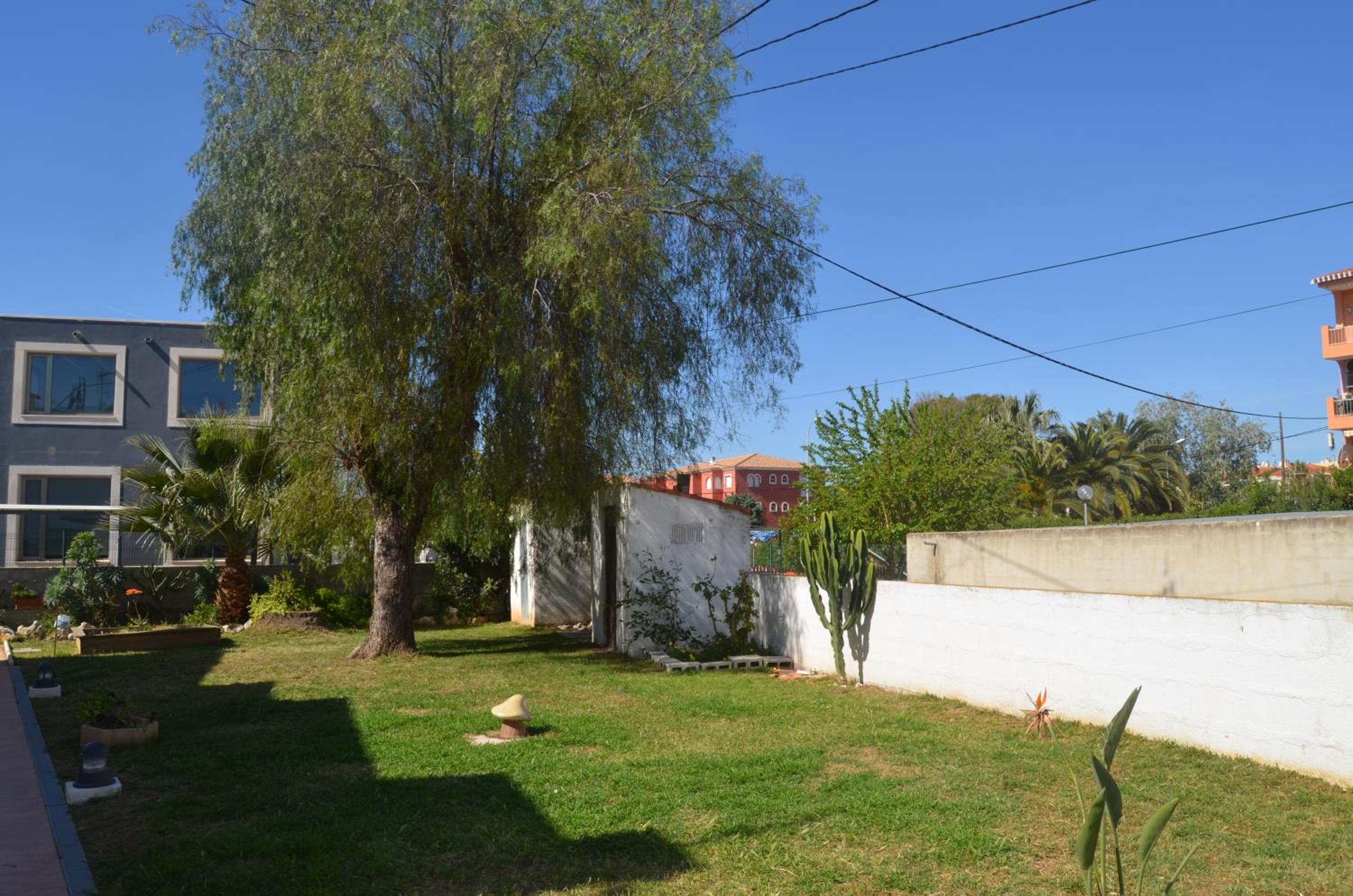 La sirenita