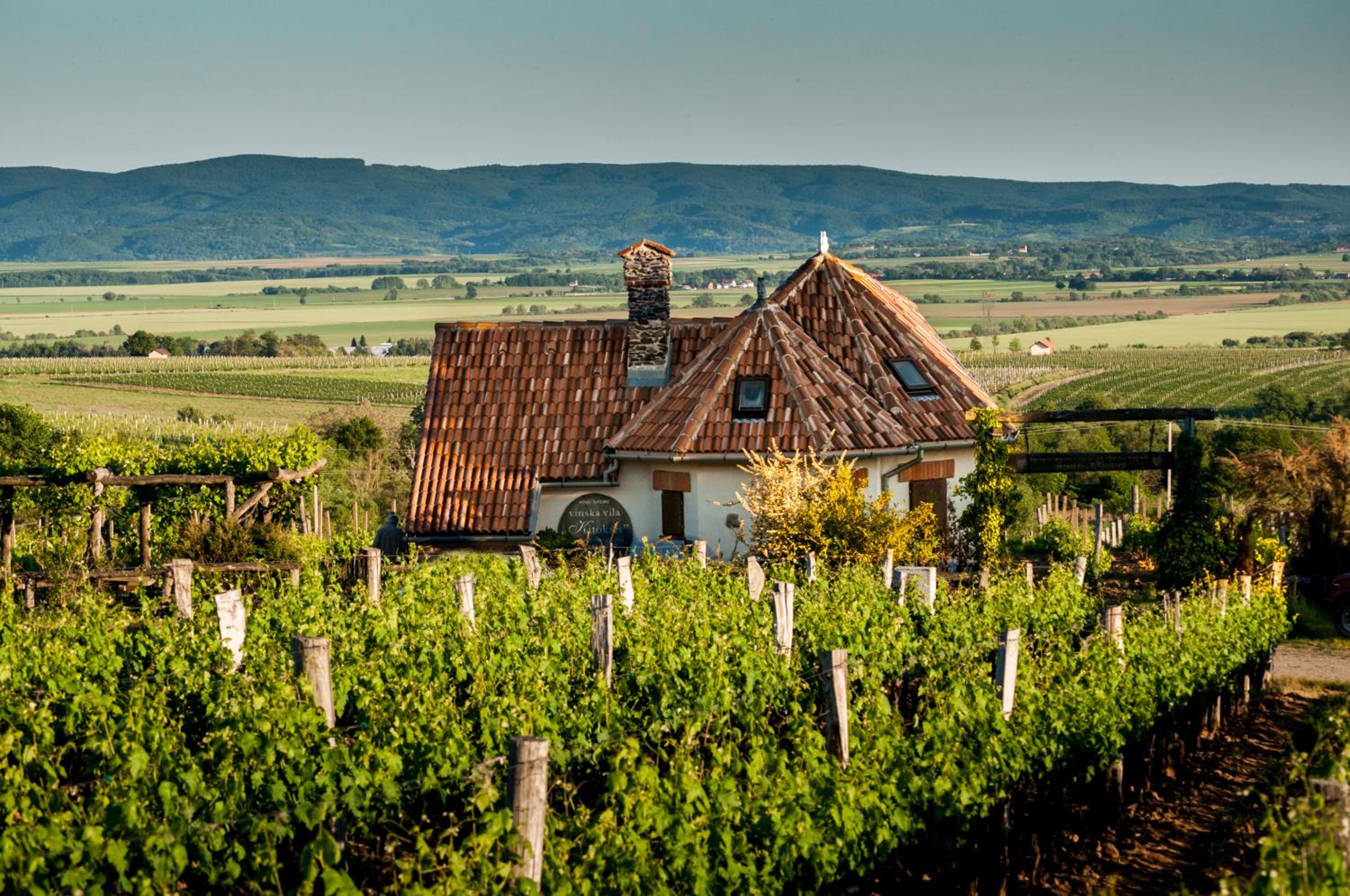 Hotel Robinson Vila Kitokret - Image 1