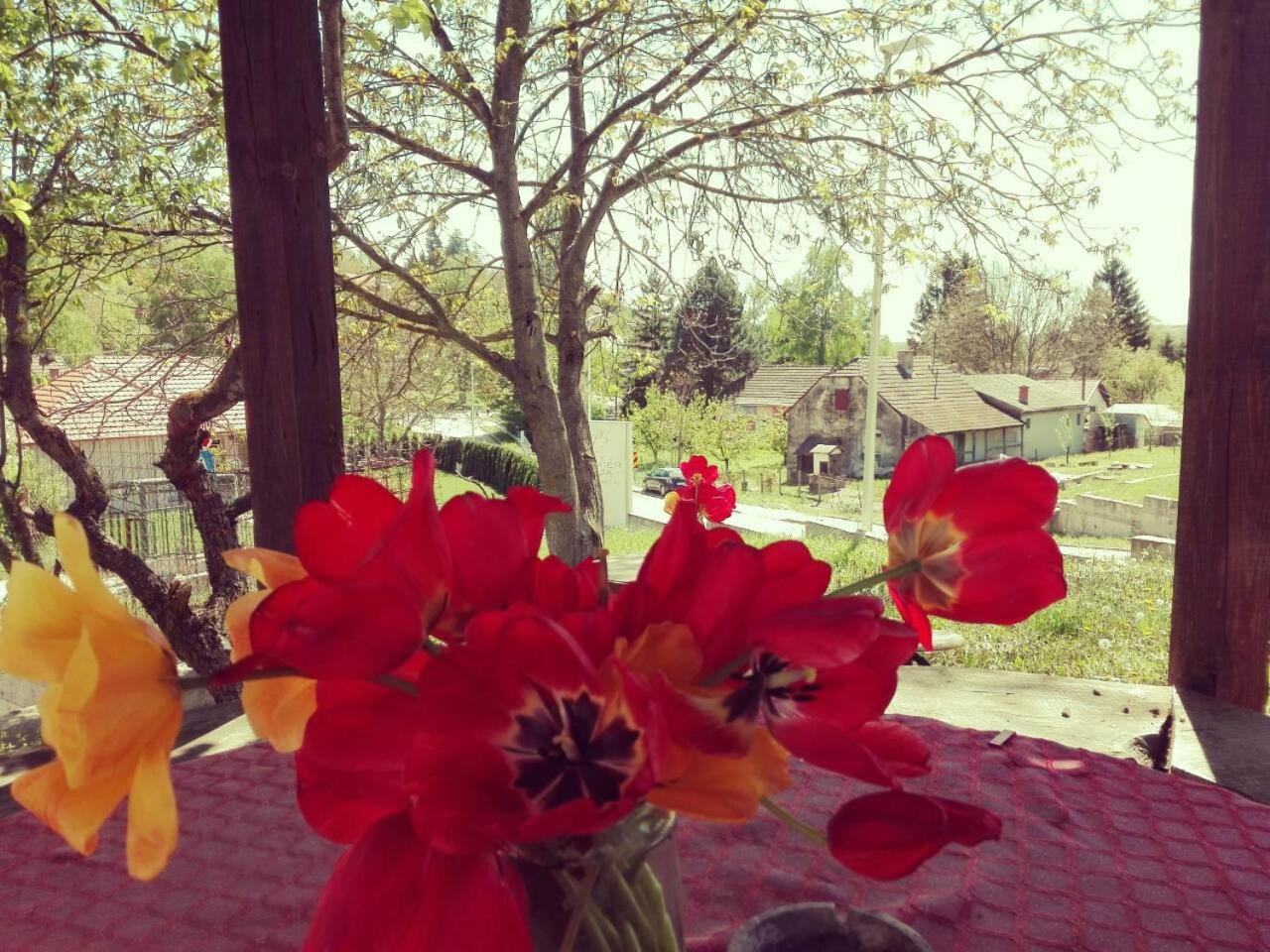 Photo 36