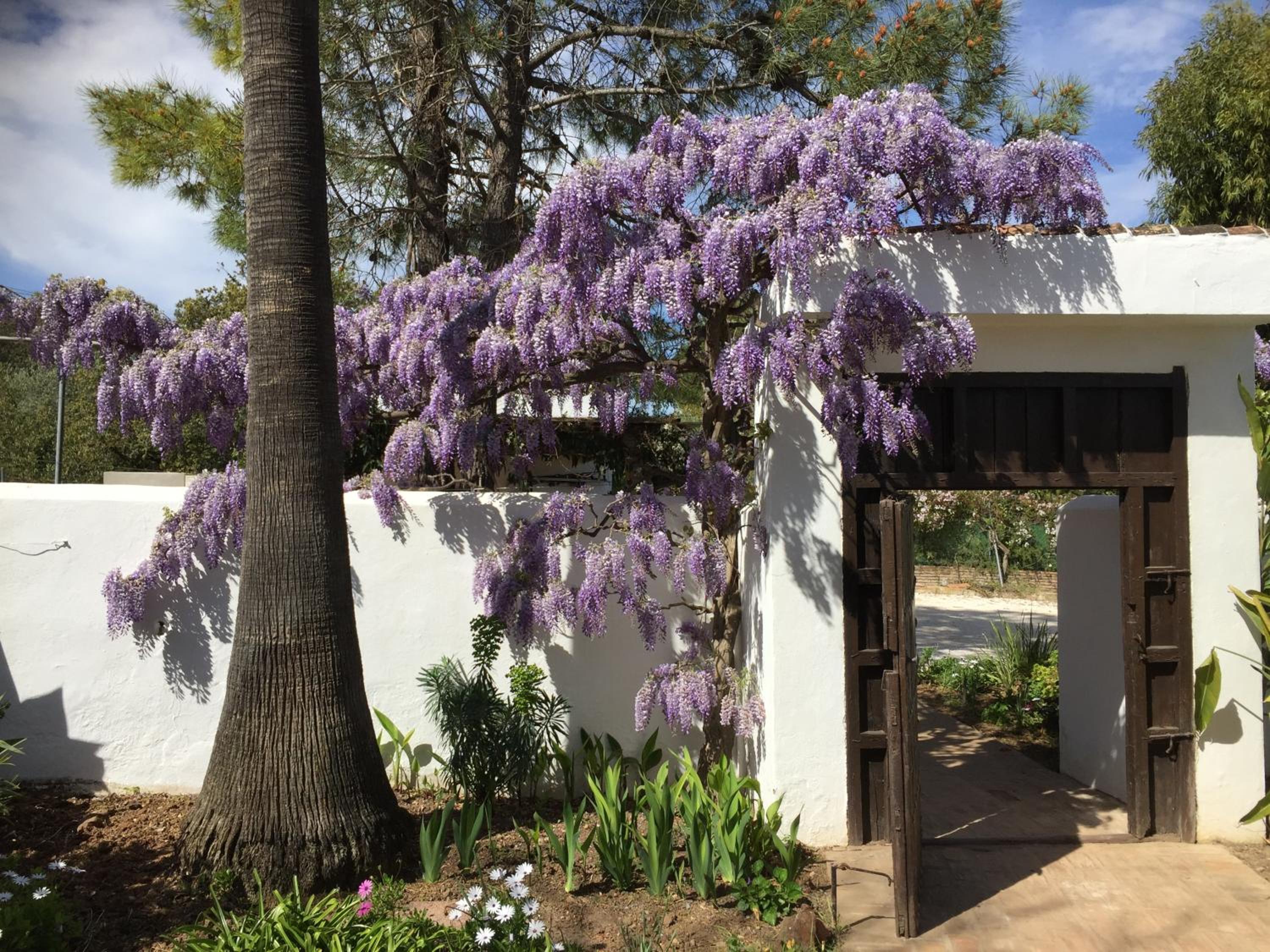 Roca Verde, Boutique Bed & Breakfast - Adults only
