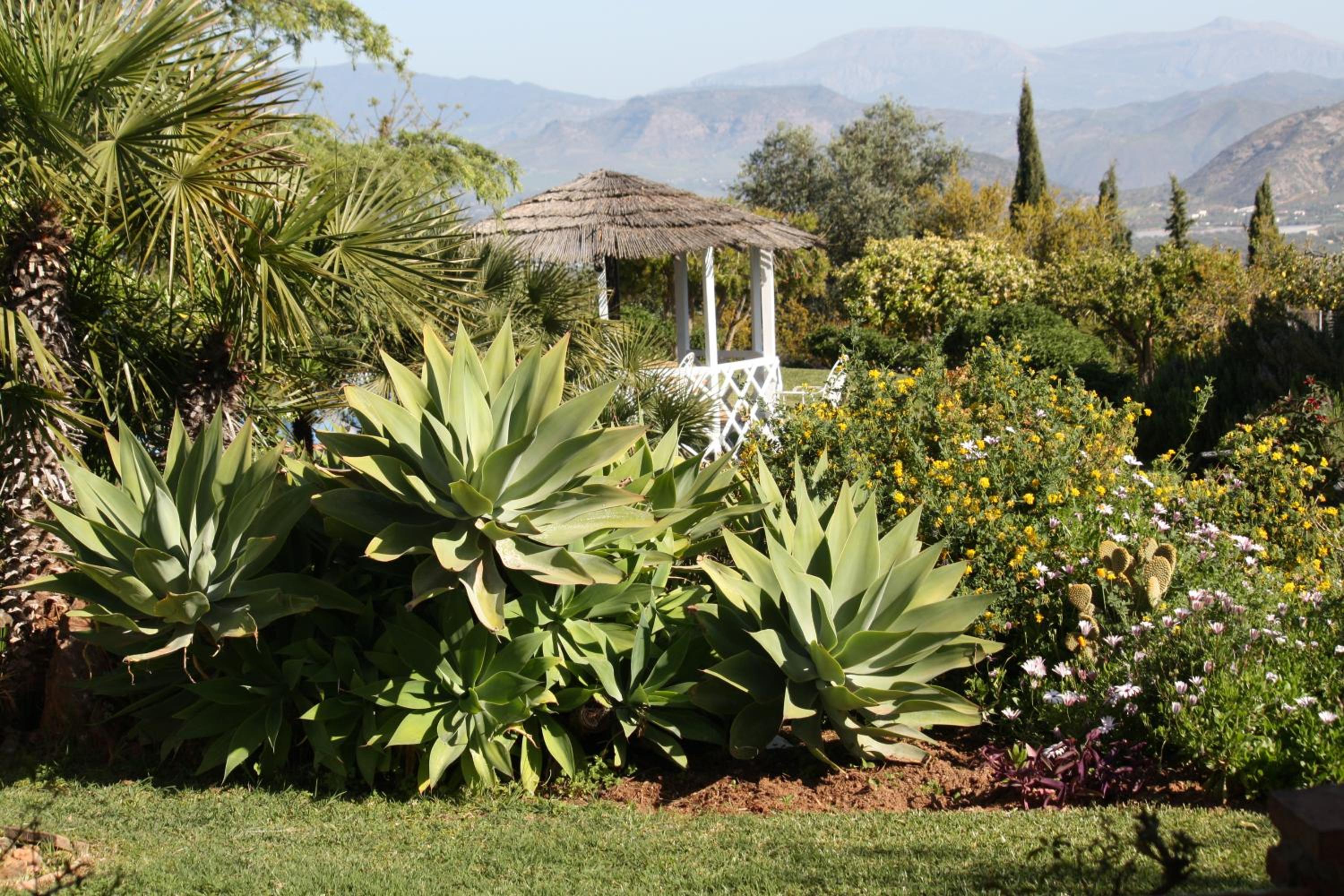 Roca Verde, Boutique Bed & Breakfast - Adults only