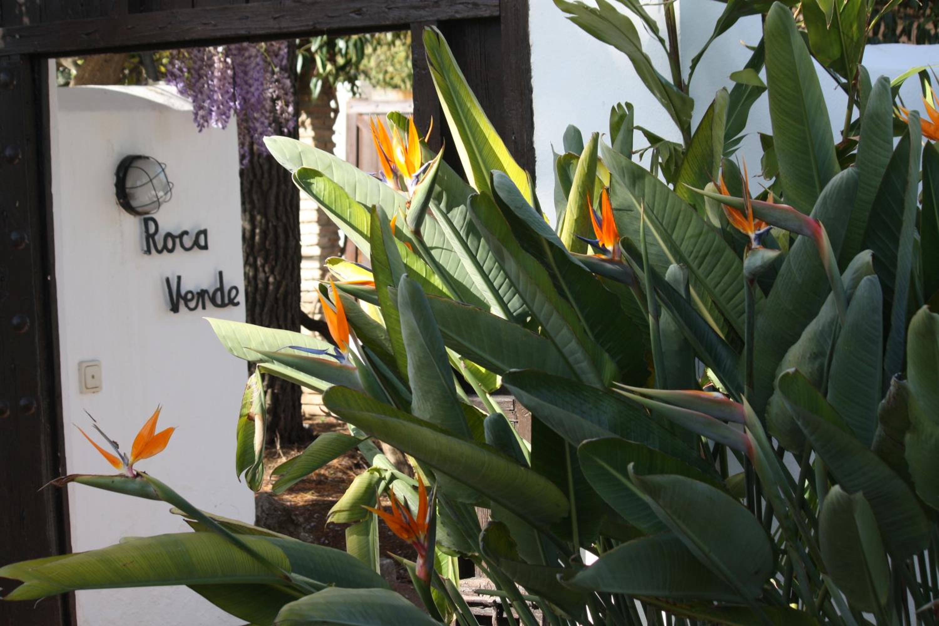 Roca Verde, Boutique Bed & Breakfast - Adults only