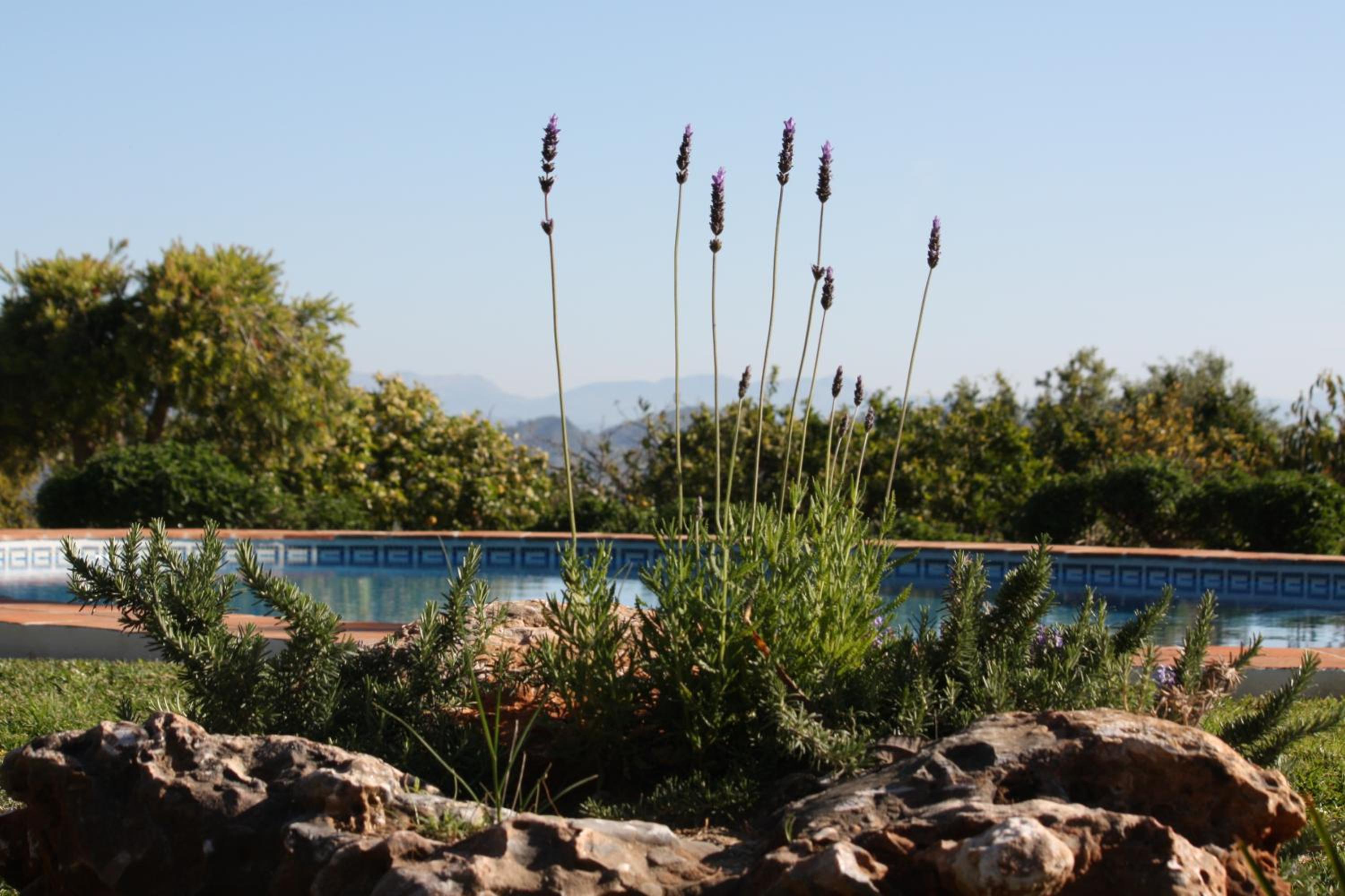 Roca Verde, Boutique Bed & Breakfast - Adults only