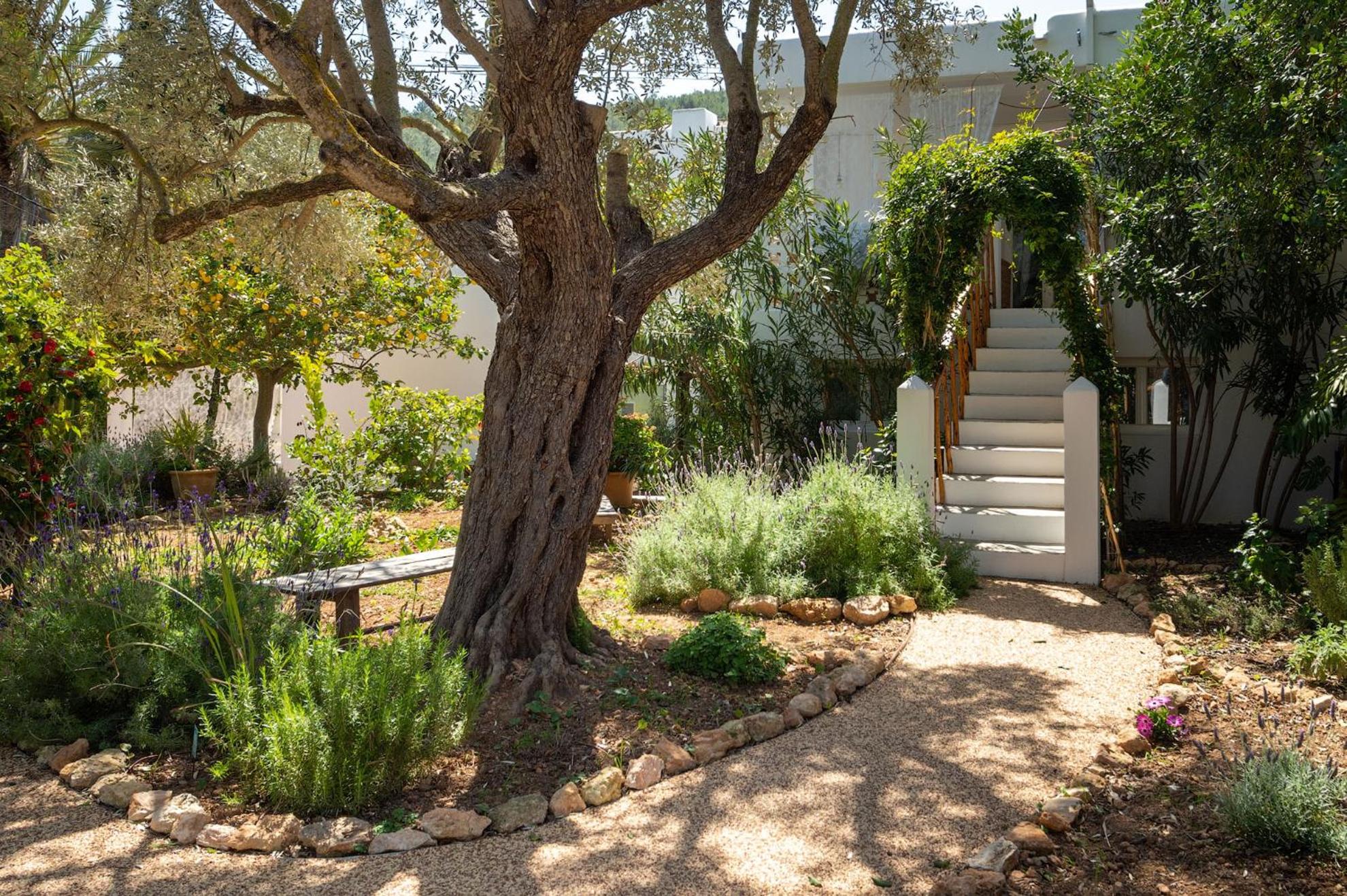 Valley Club Ibiza - Boutique Agroturismo