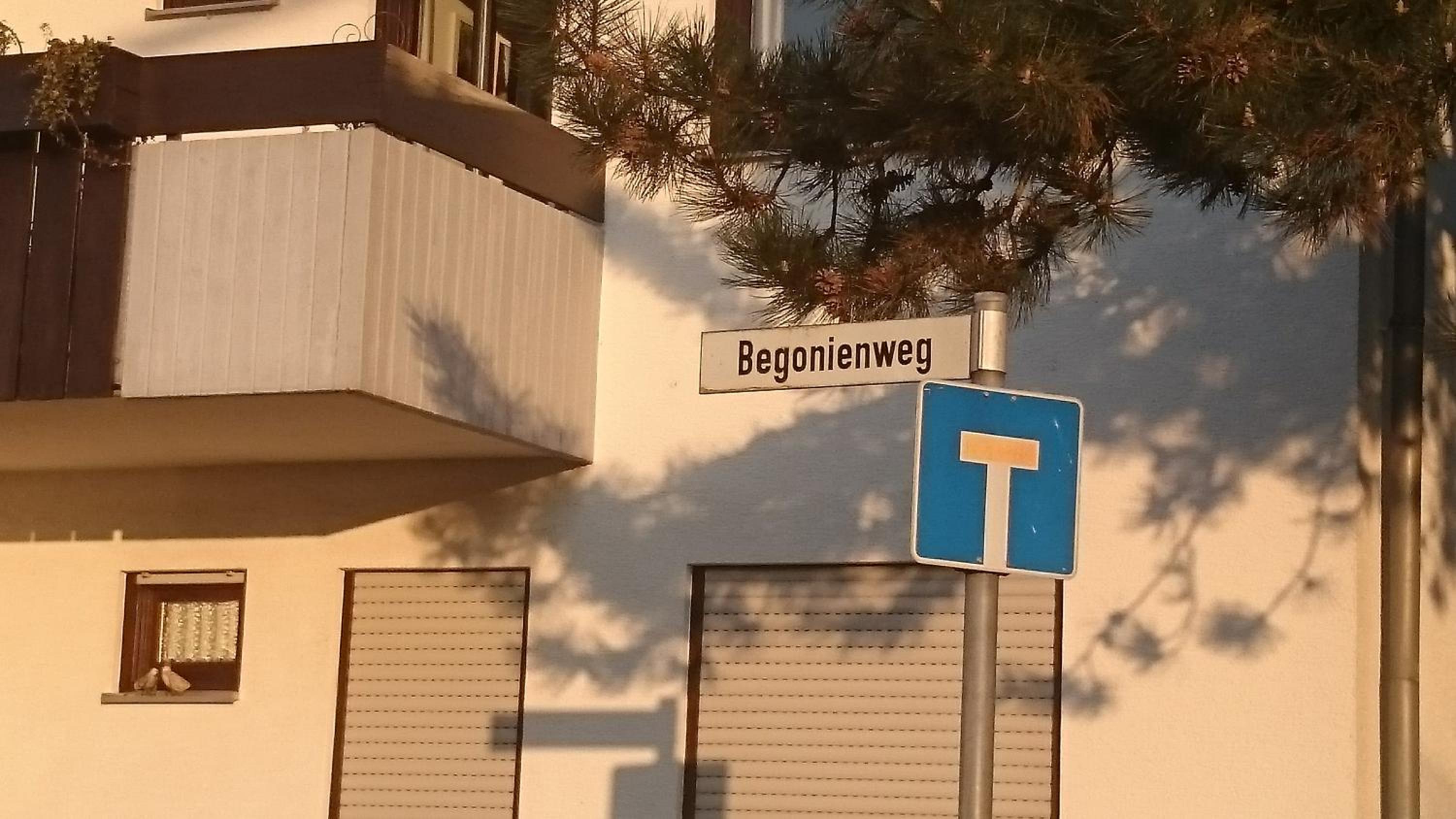 Apartment Laurence