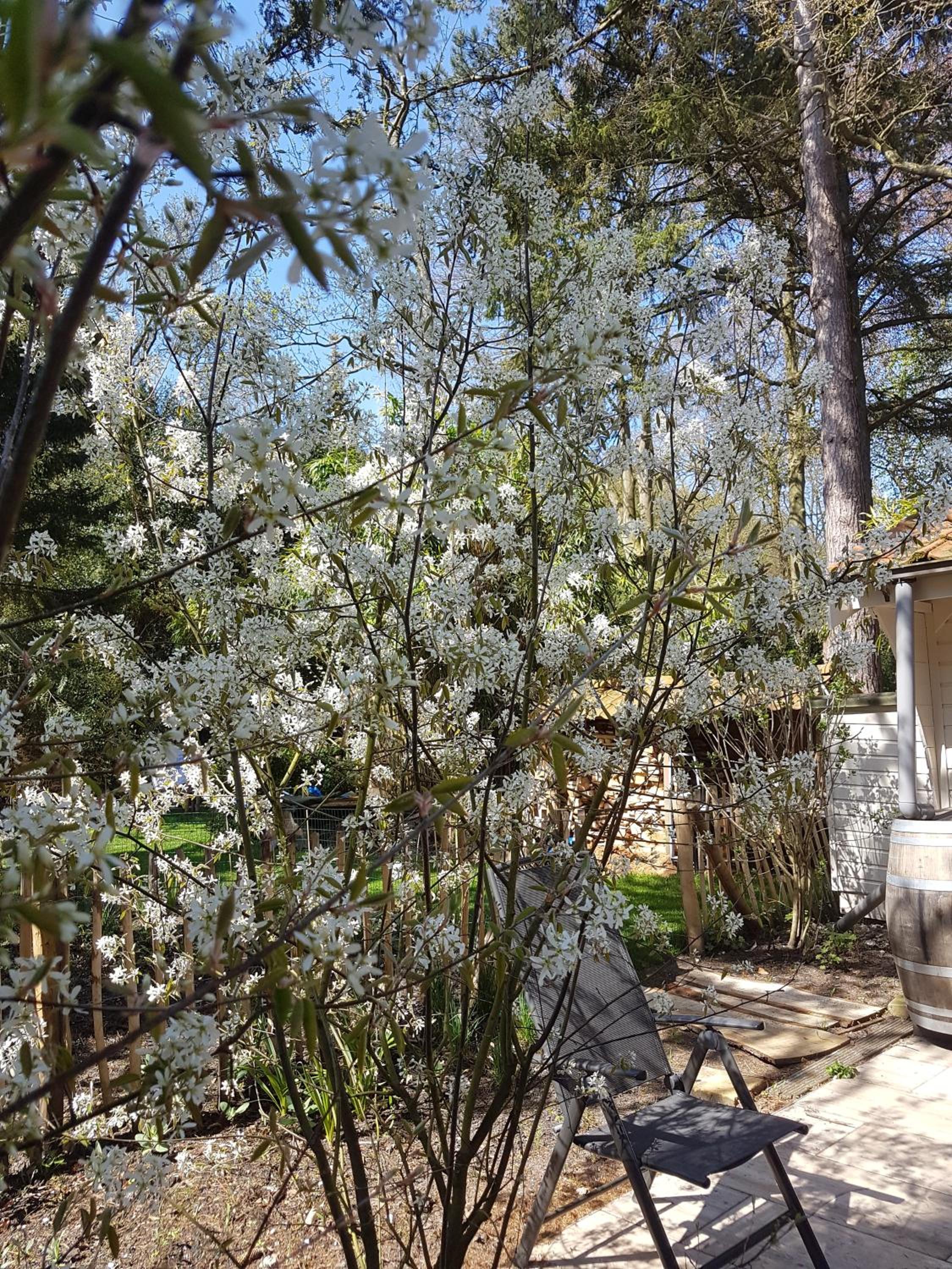 Photo 27