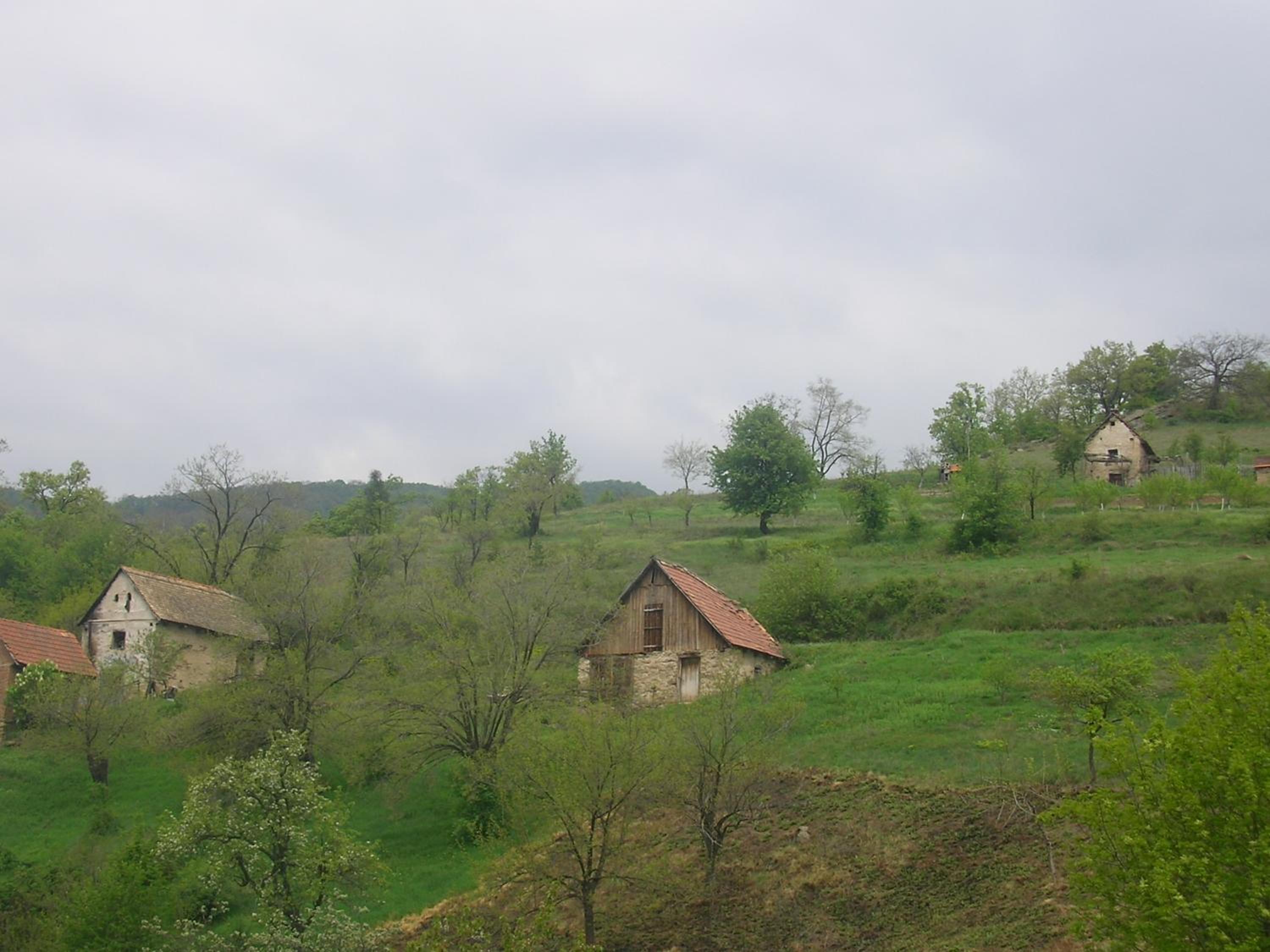 Photo 56