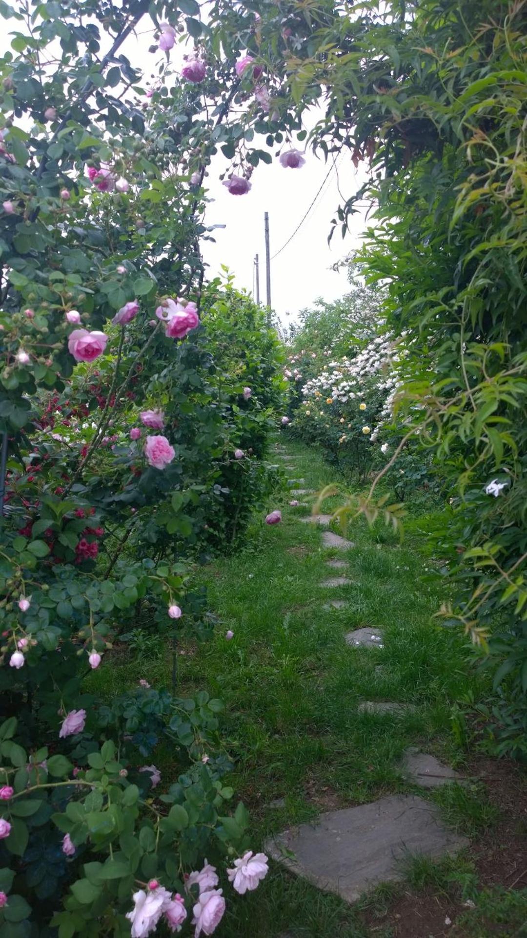 Photo 16